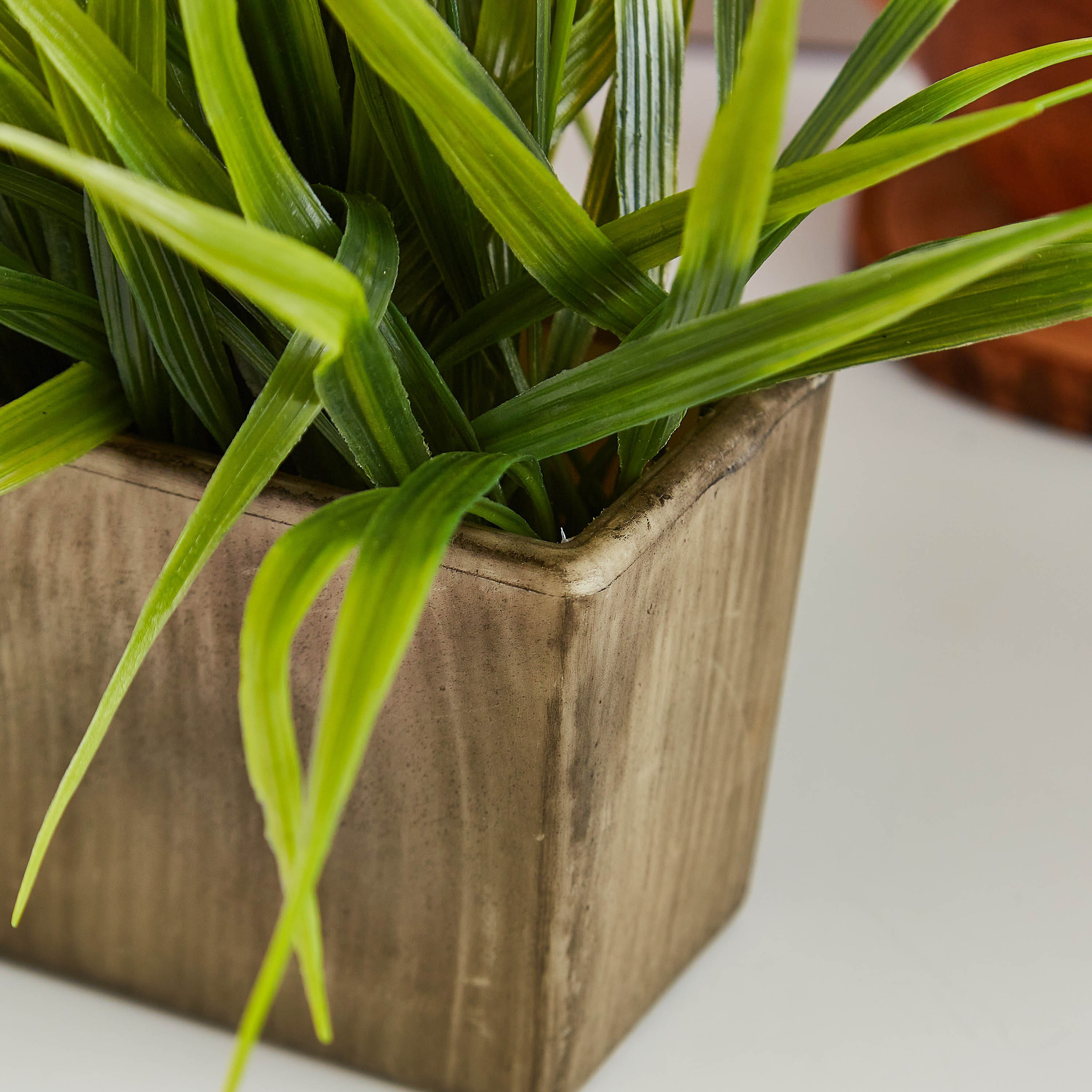 عشب زينة مع مزهرية من إيدينك - 20 سم-hbxdecorandfurnishings-homeaccessories-artificialflowersandplants-image-2