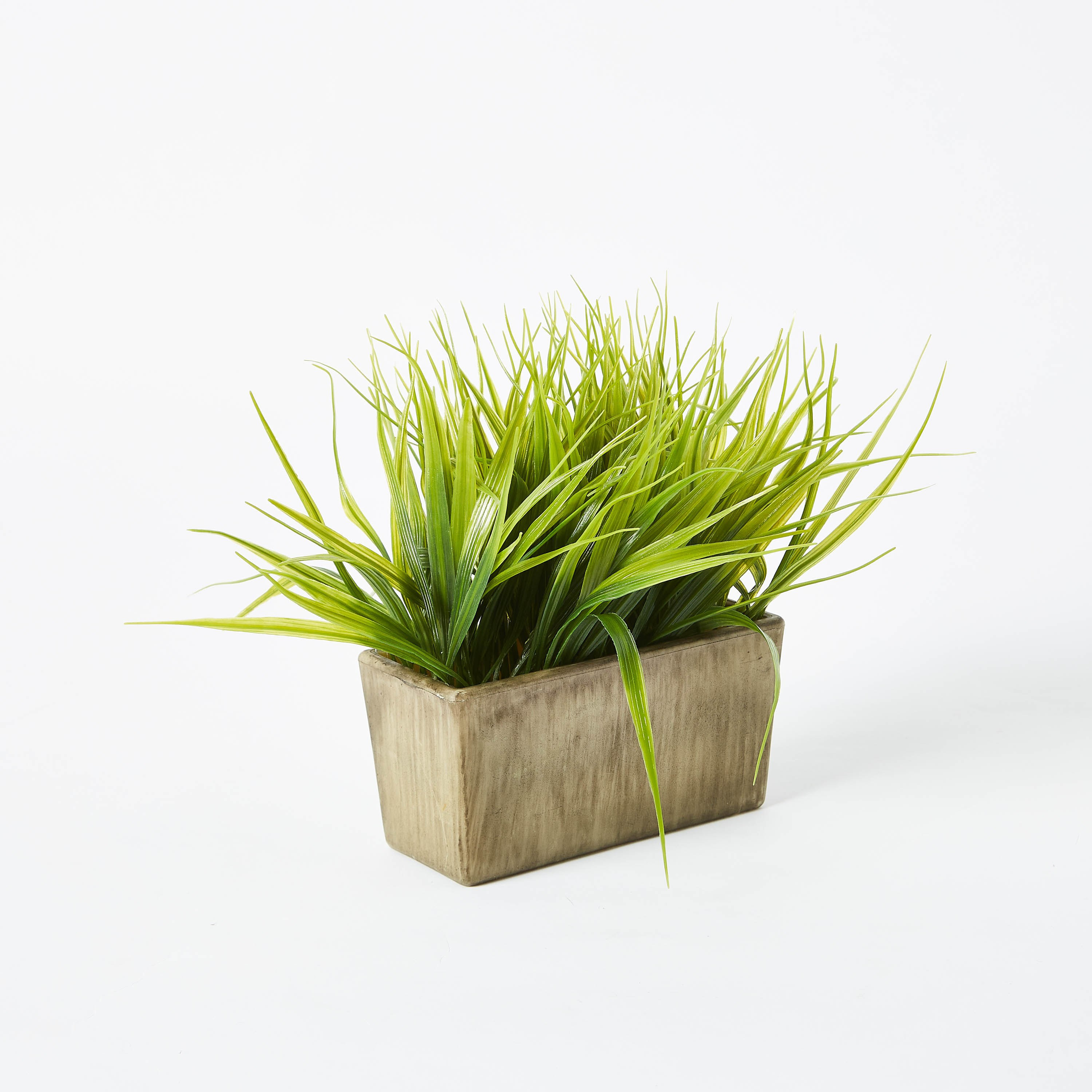 عشب زينة مع مزهرية من إيدينك - 20 سم-hbxdecorandfurnishings-homeaccessories-artificialflowersandplants-image-4