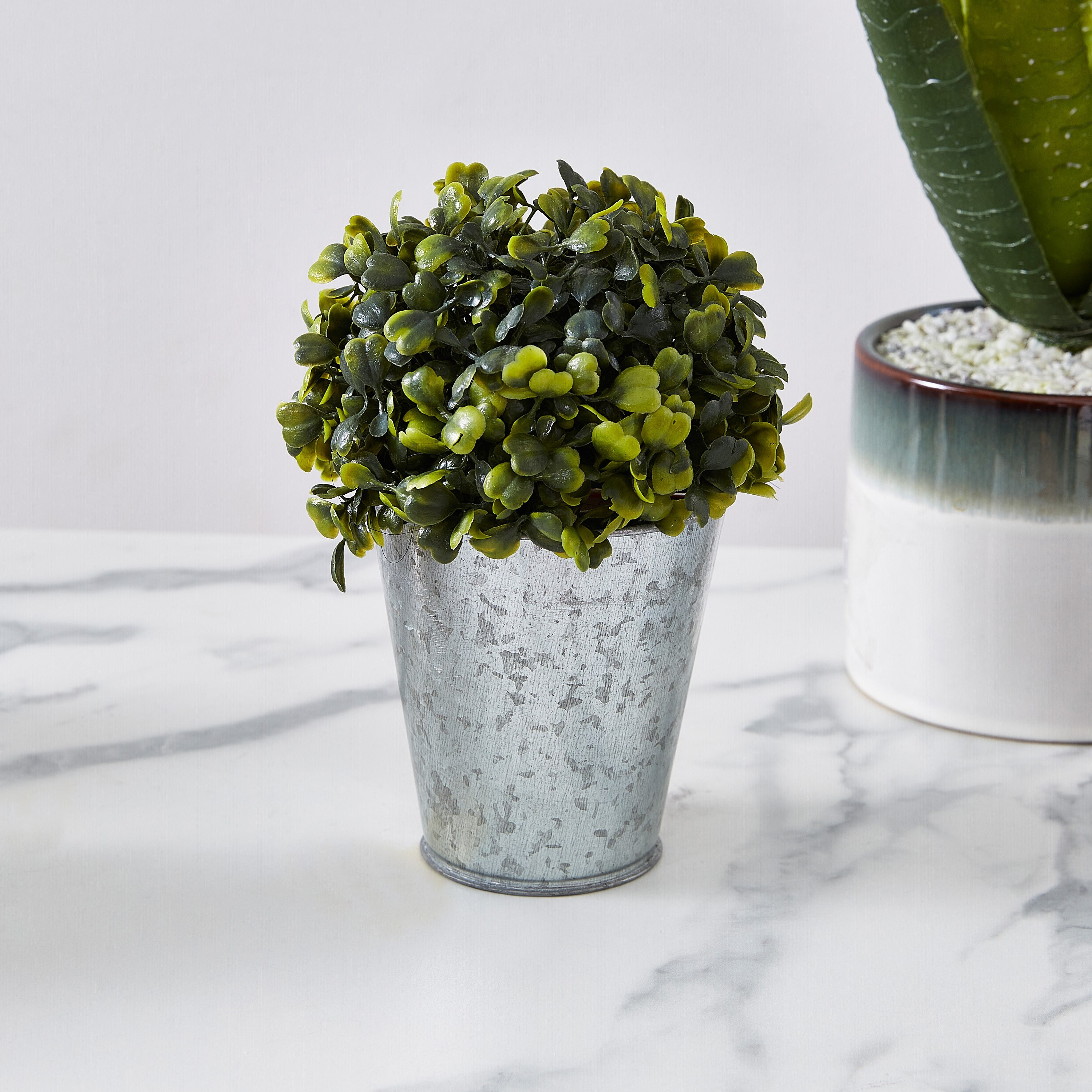 نبتة خشب البقس في إصيص من ليفيا - 30 سم-hbxdecorandfurnishings-homeaccessories-artificialflowersandplants-image-1