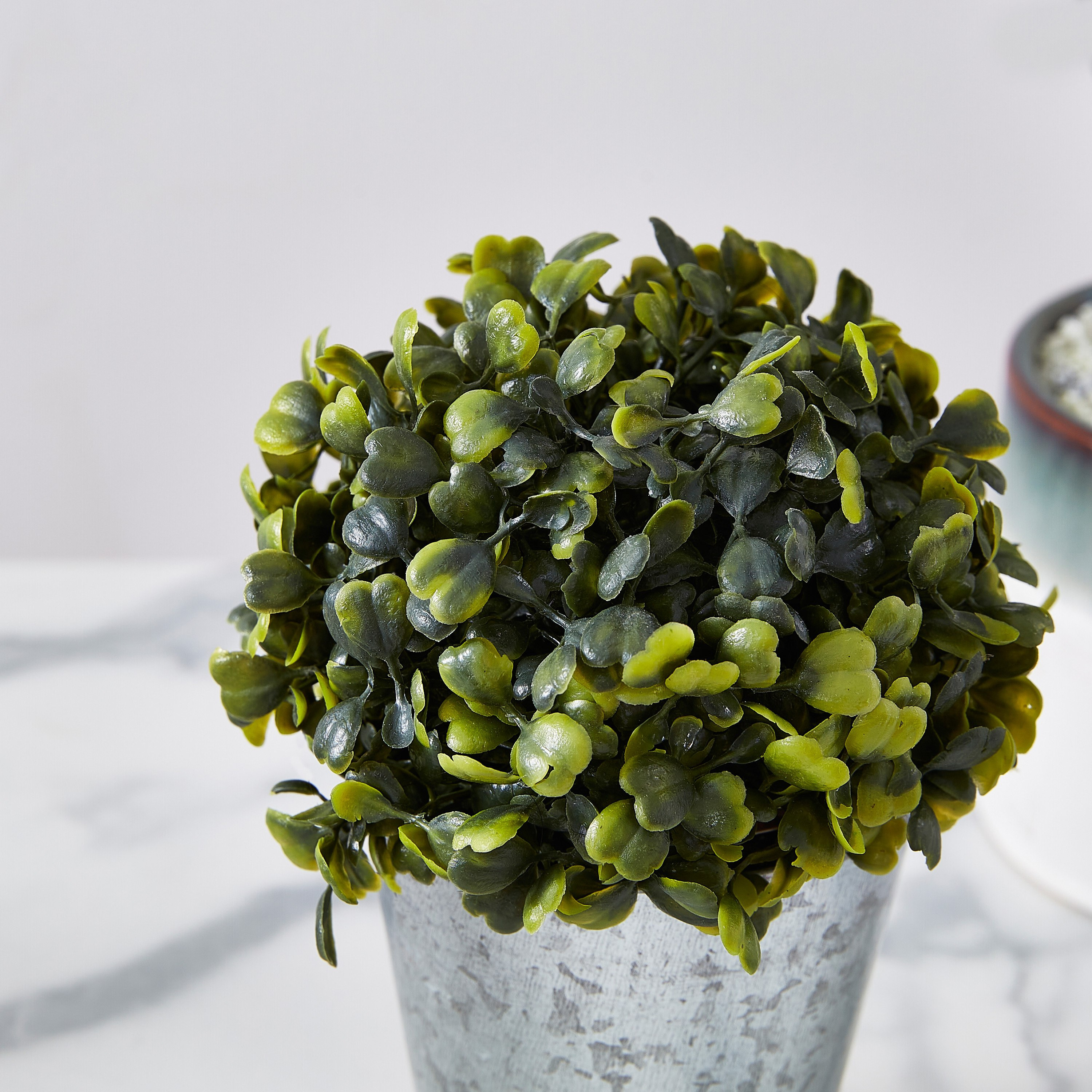 نبتة خشب البقس في إصيص من ليفيا - 30 سم-hbxdecorandfurnishings-homeaccessories-artificialflowersandplants-image-2