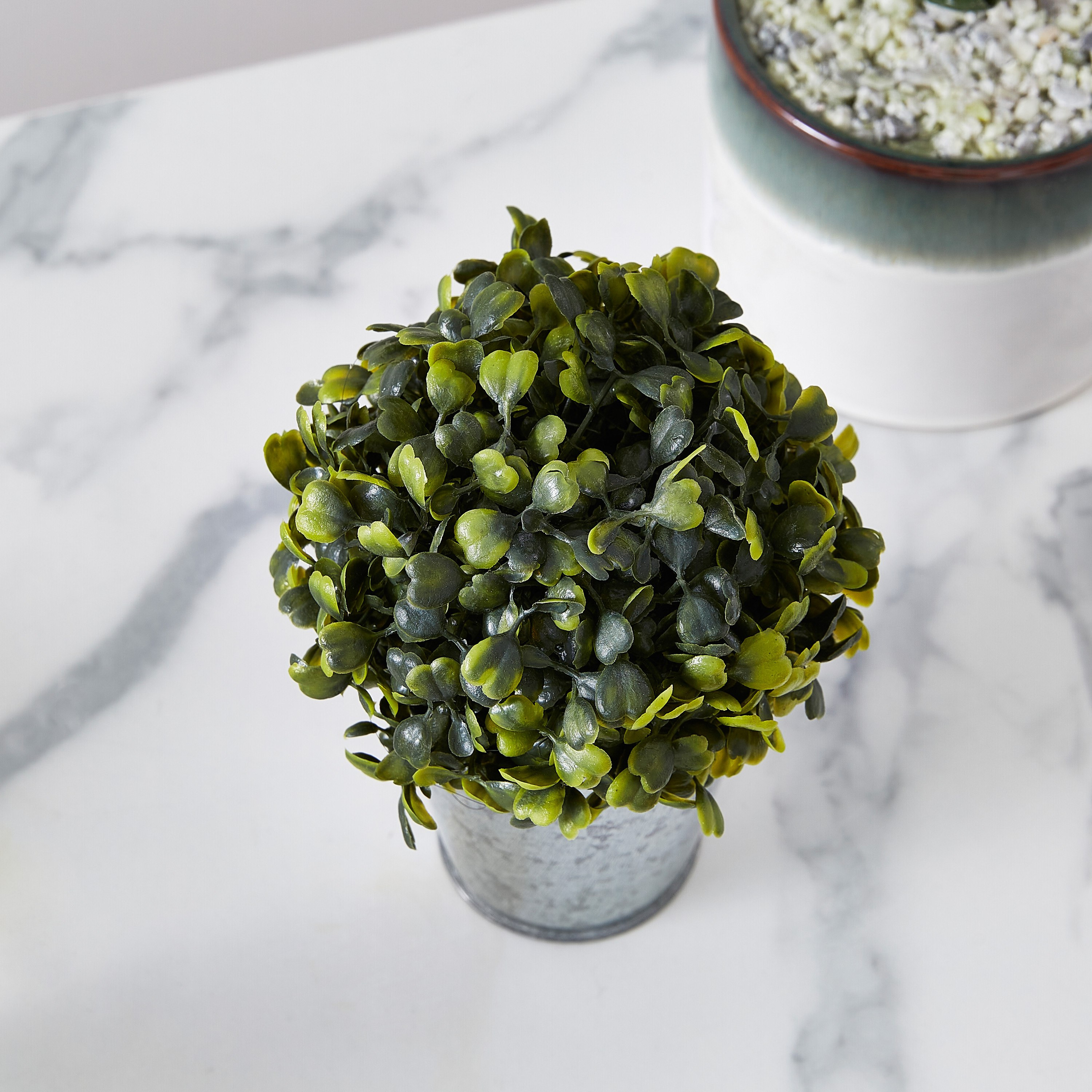 نبتة خشب البقس في إصيص من ليفيا - 30 سم-hbxdecorandfurnishings-homeaccessories-artificialflowersandplants-image-3