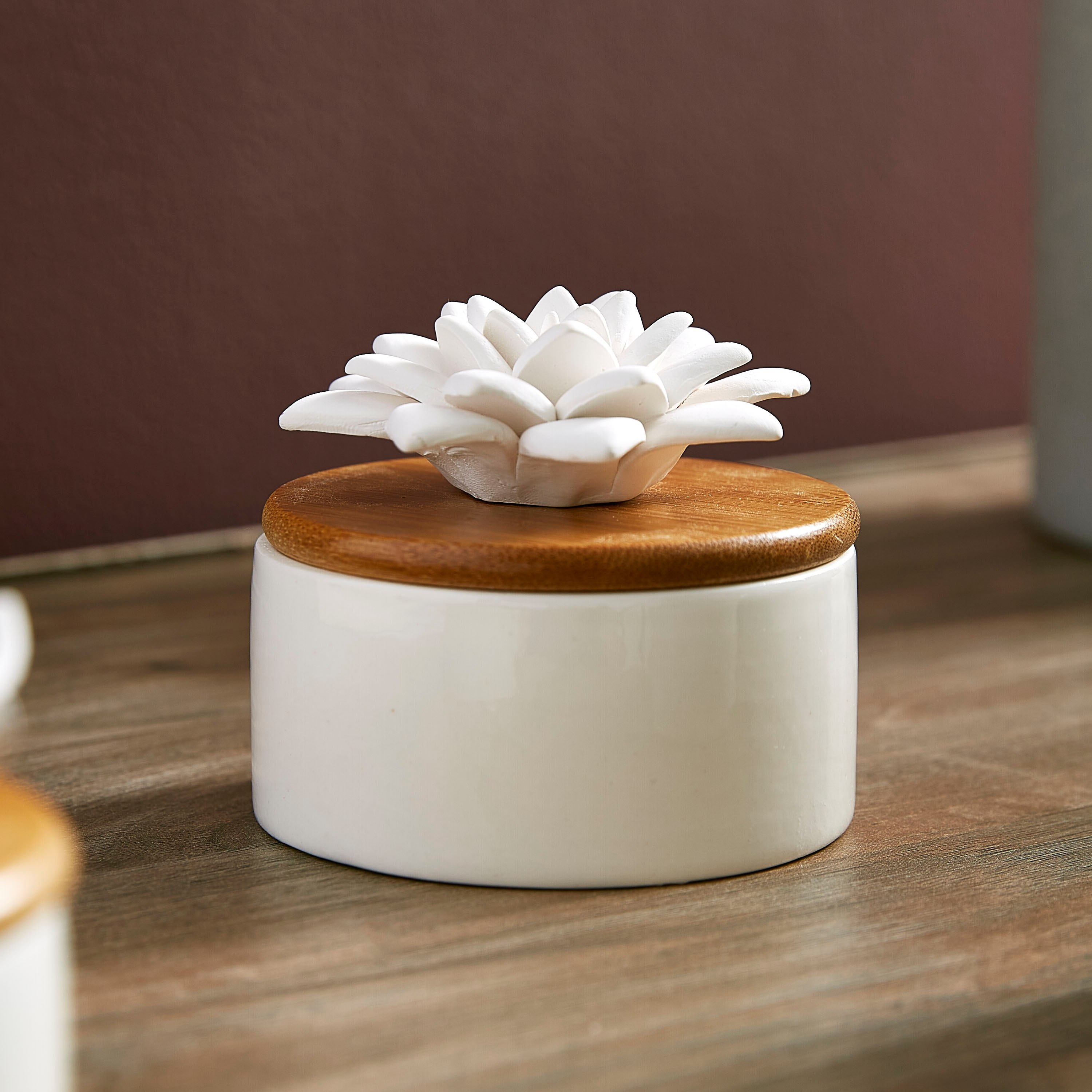 Gizelle Plum Blossom Capillary Diffuser-PROMO_HB_AE_B1G1_250925-image-1