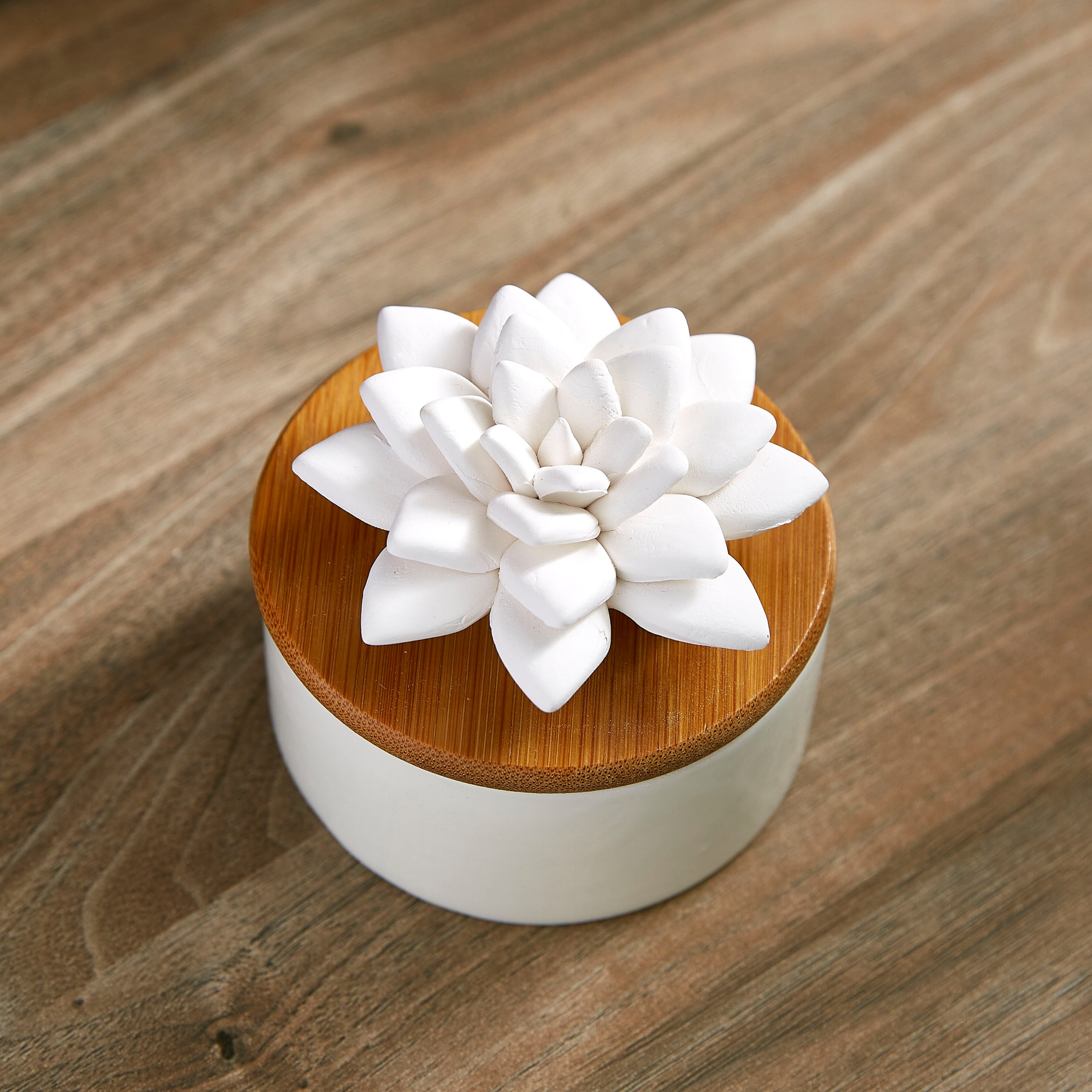 Gizelle Plum Blossom Capillary Diffuser-PROMO_HB_AE_B1G1_250925-image-2