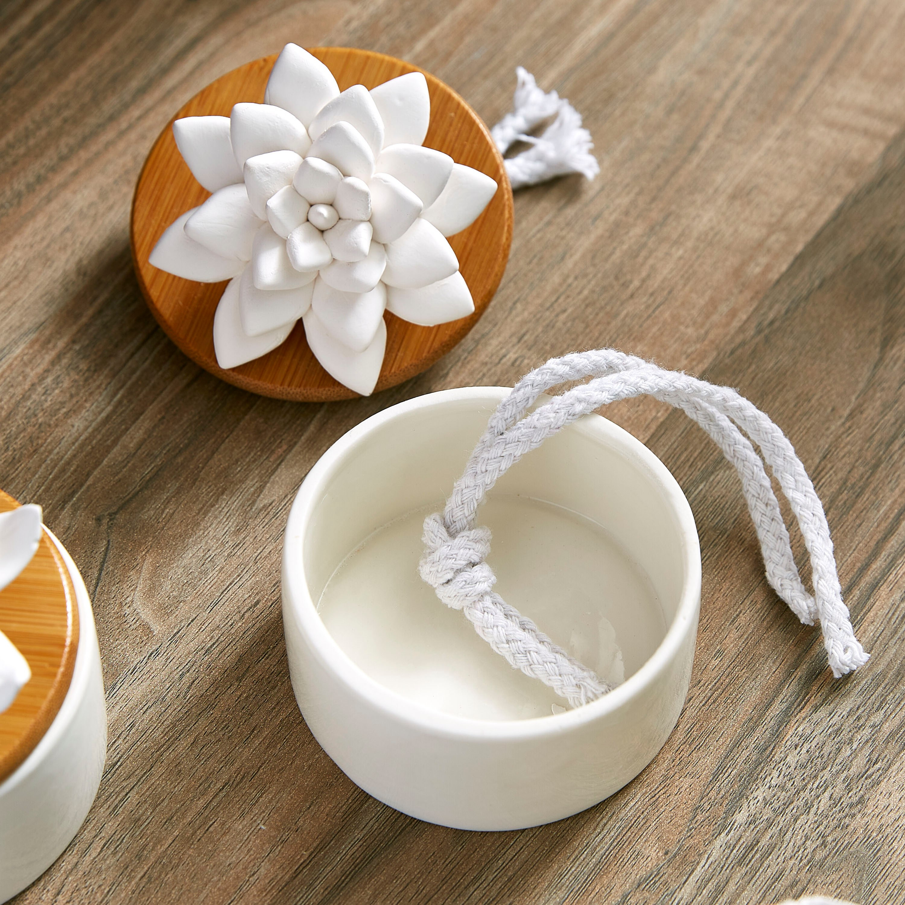 Gizelle Plum Blossom Capillary Diffuser-PROMO_HB_AE_B1G1_250925-image-3