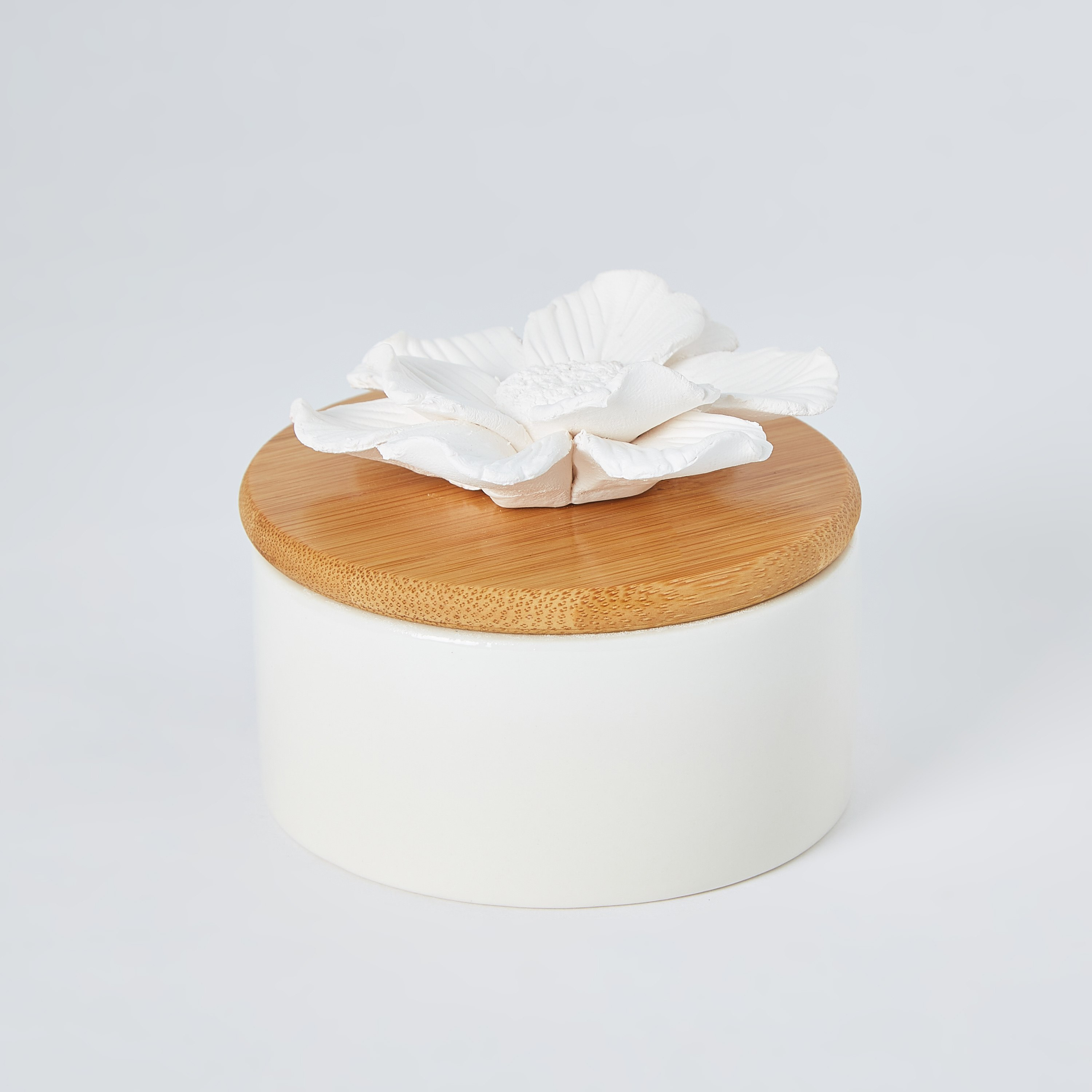 Gizelle Plum Blossom Capillary Diffuser-PROMO_HB_AE_B1G1_250925-image-5
