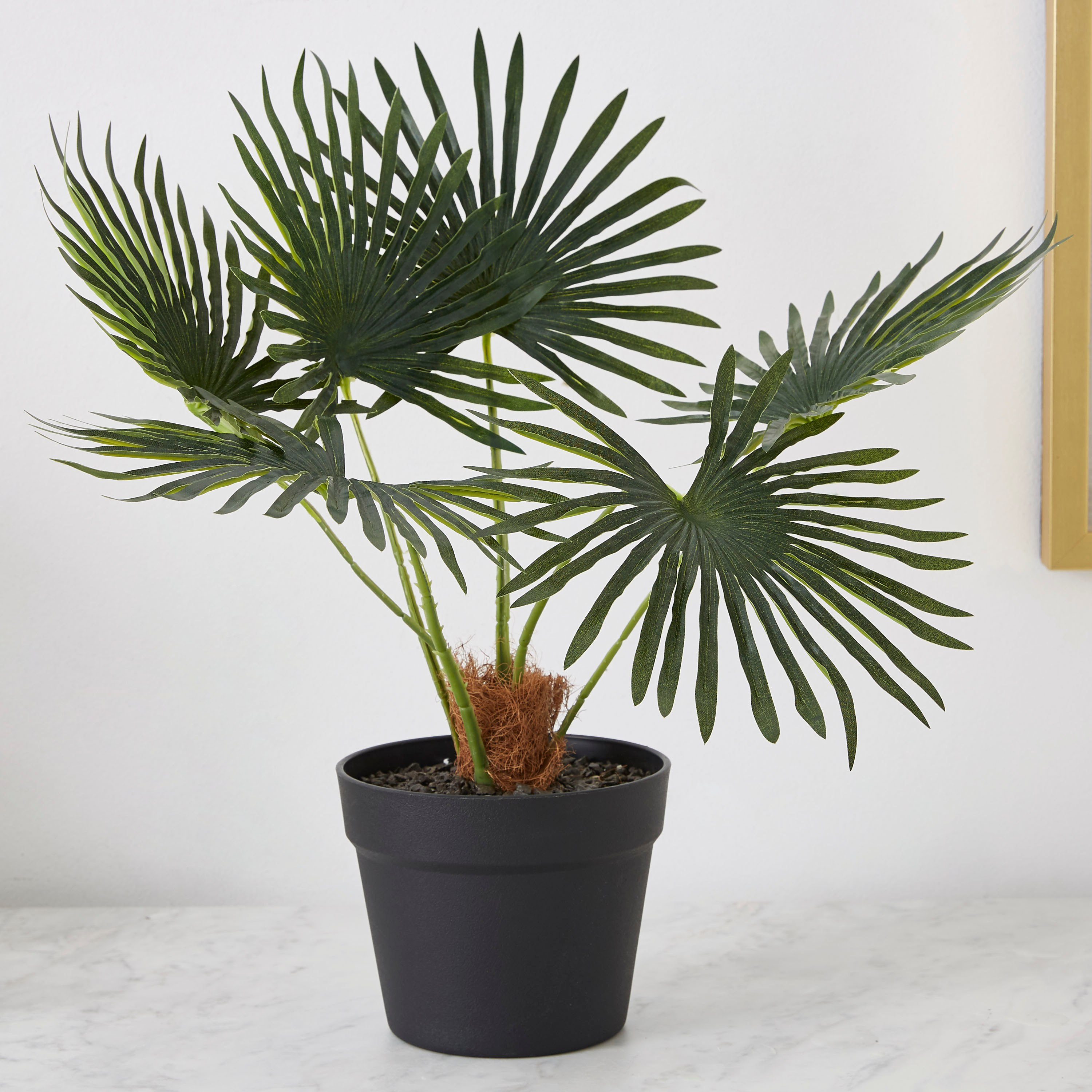 نبتة صناعية في وعاء من ليفيا - 40 سم-hbxdecorandfurnishings-homeaccessories-artificialflowersandplants-image-1