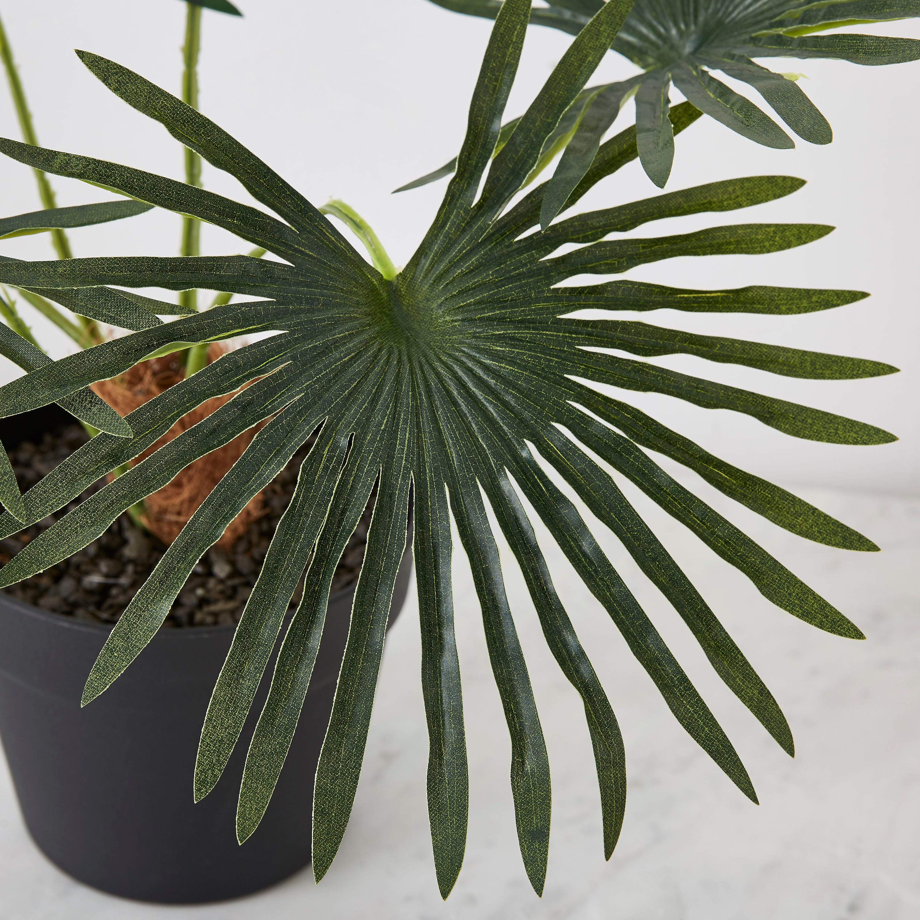 نبتة صناعية في وعاء من ليفيا - 40 سم-hbxdecorandfurnishings-homeaccessories-artificialflowersandplants-image-2