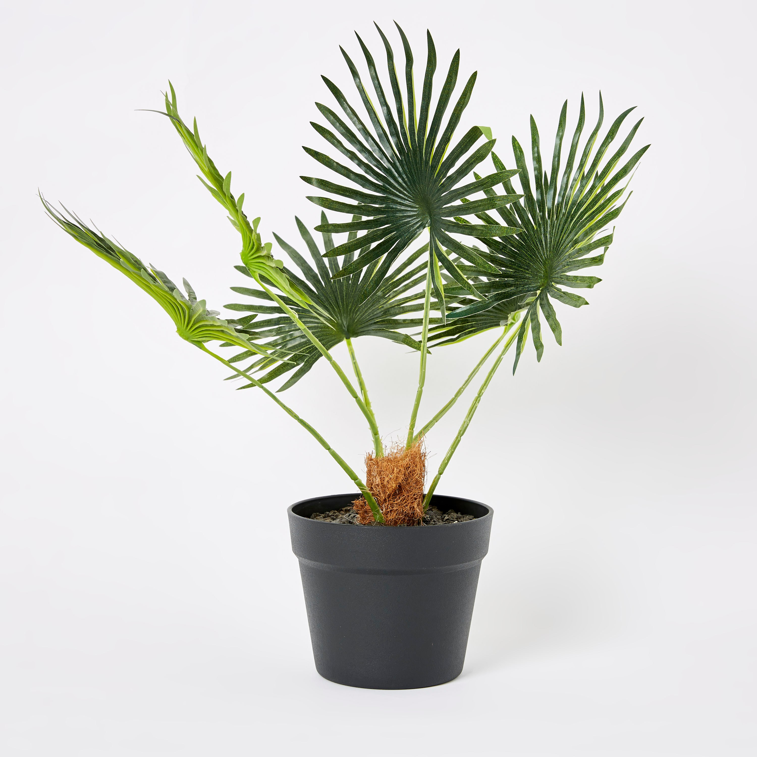 نبتة صناعية في وعاء من ليفيا - 40 سم-hbxdecorandfurnishings-homeaccessories-artificialflowersandplants-image-5