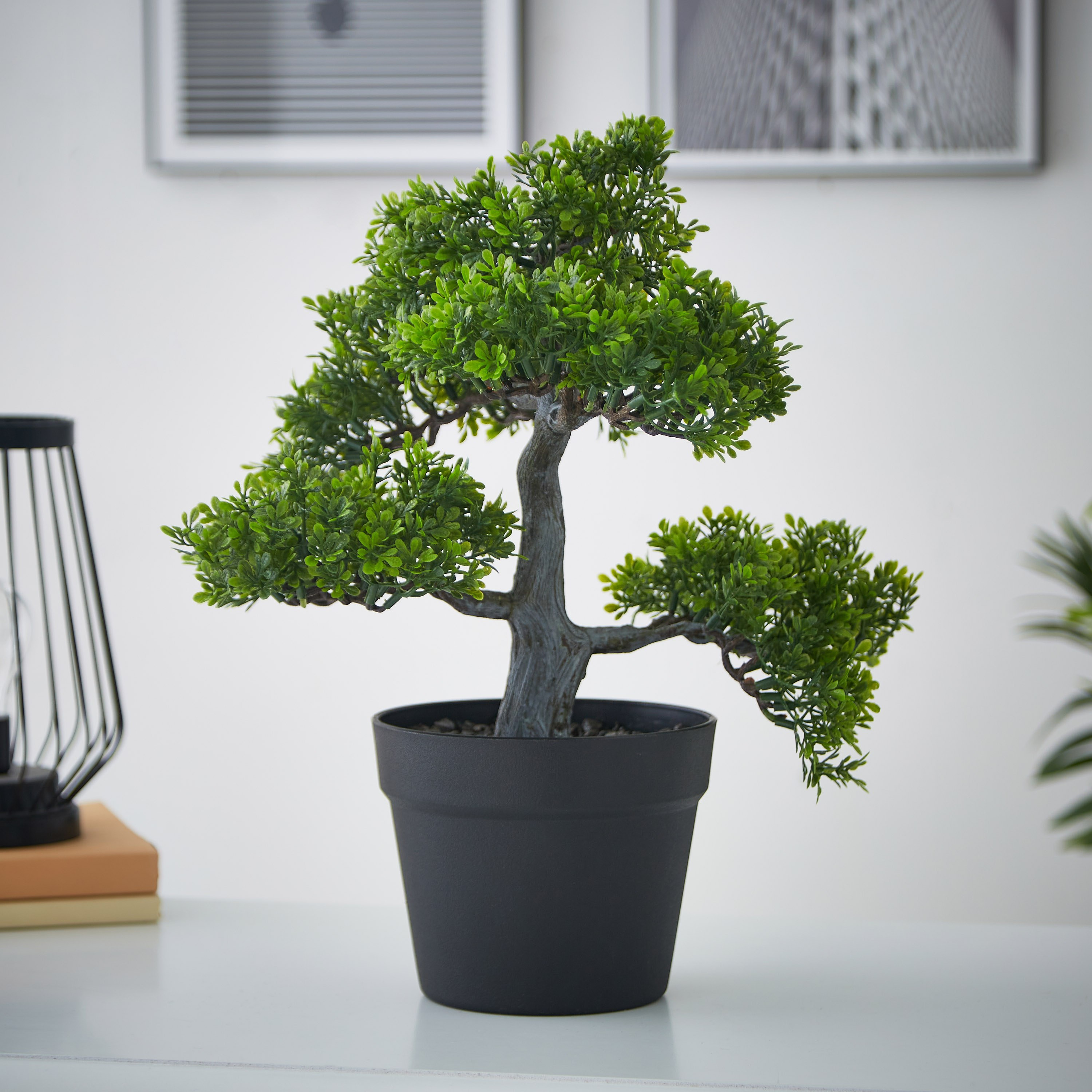 إصيص بنبات بونساي من ليفيا - 42 سم-hbxdecorandfurnishings-homeaccessories-artificialflowersandplants-image-1