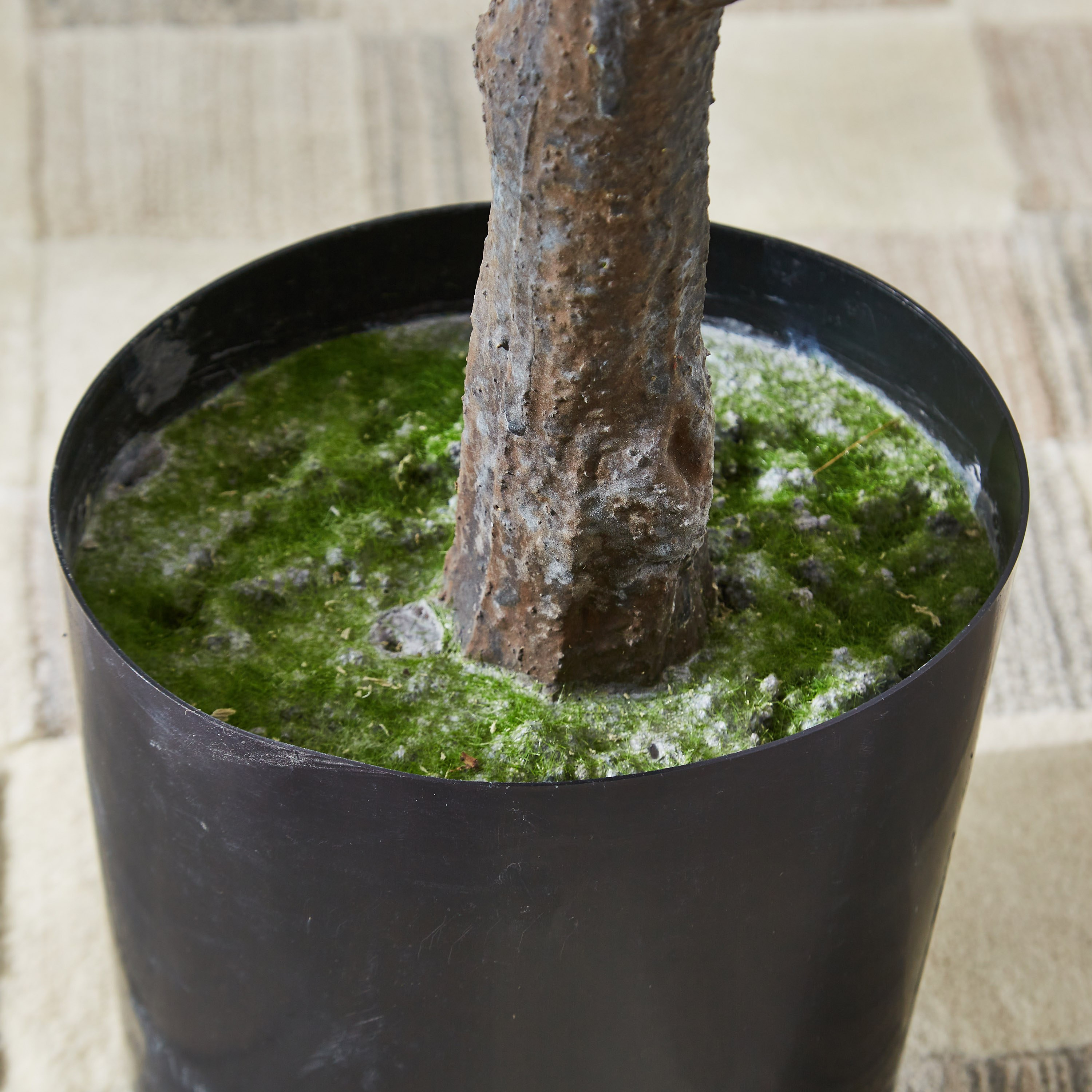 شجرة تين اصطناعية من تيودورا - 150 سم-hbxdecorandfurnishings-homeaccessories-artificialflowersandplants-image-4