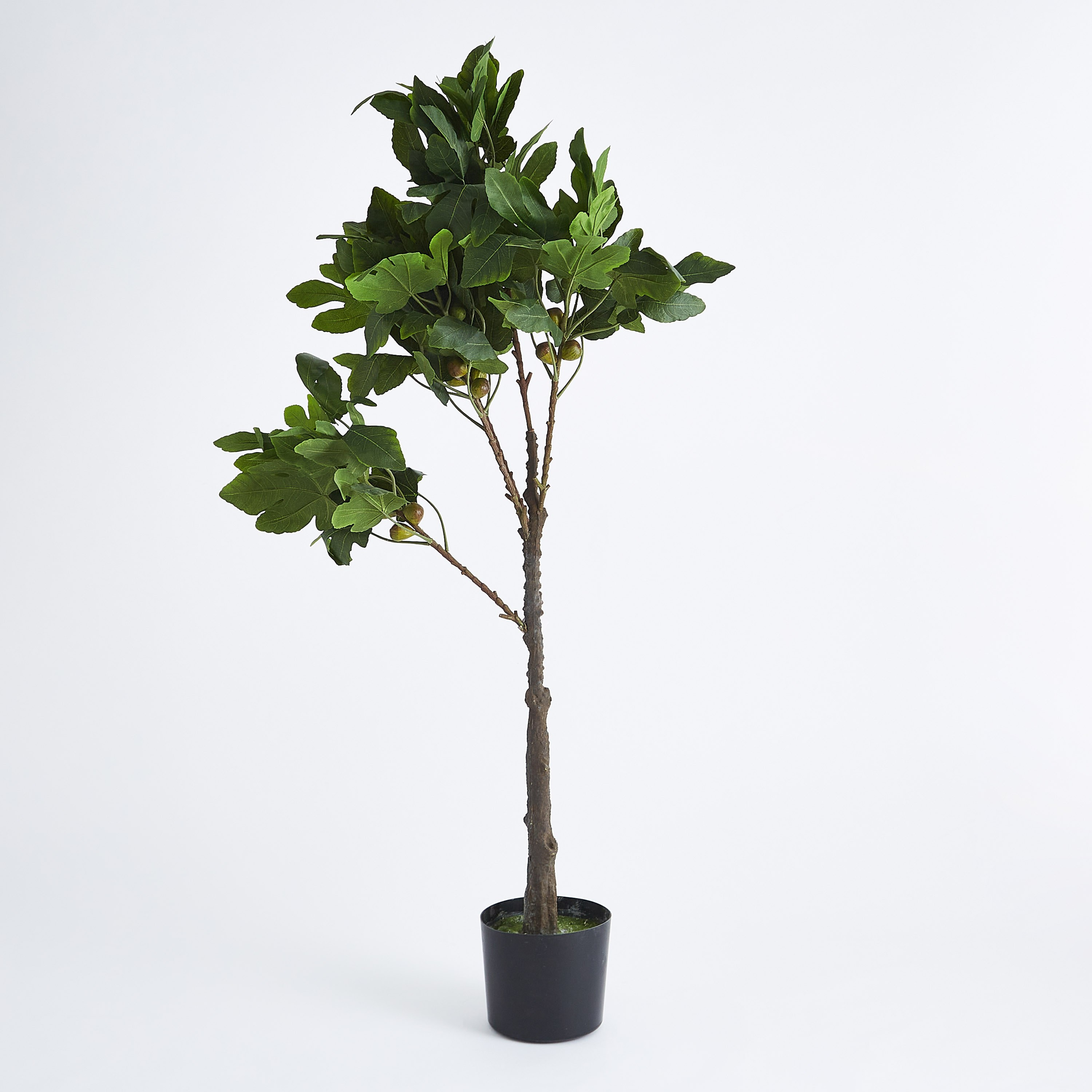 شجرة تين اصطناعية من تيودورا - 150 سم-hbxdecorandfurnishings-homeaccessories-artificialflowersandplants-image-6