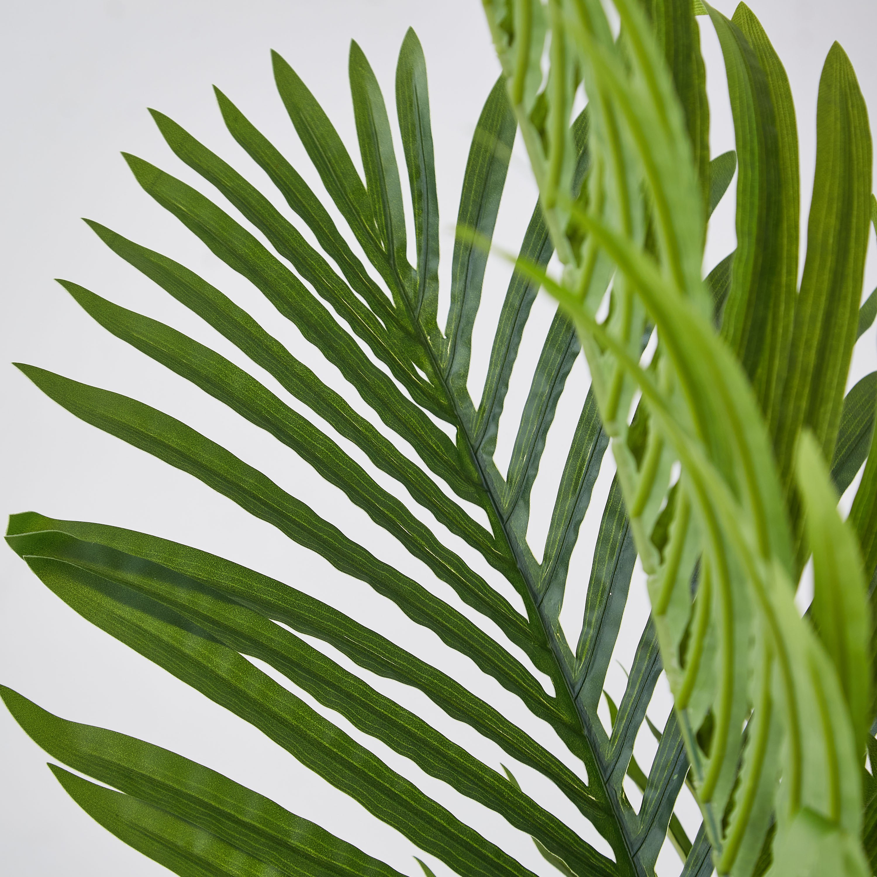 Teodora Artificial Purple Kwai Palm - 140 cm-hbxdecorandfurnishings-homeaccessories-artificialflowersandplants-image-2