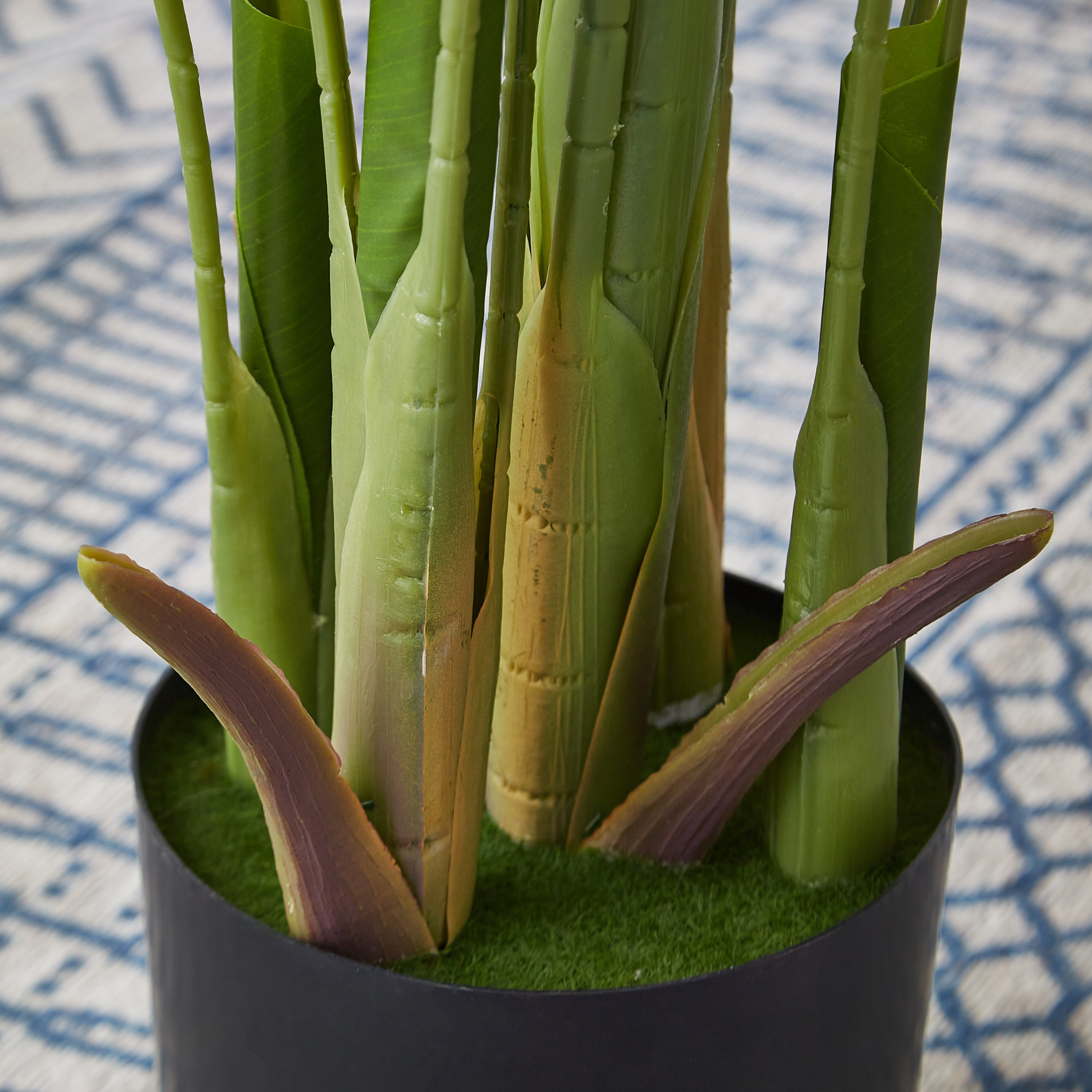Teodora Artificial Purple Kwai Palm - 140 cm-hbxdecorandfurnishings-homeaccessories-artificialflowersandplants-image-3