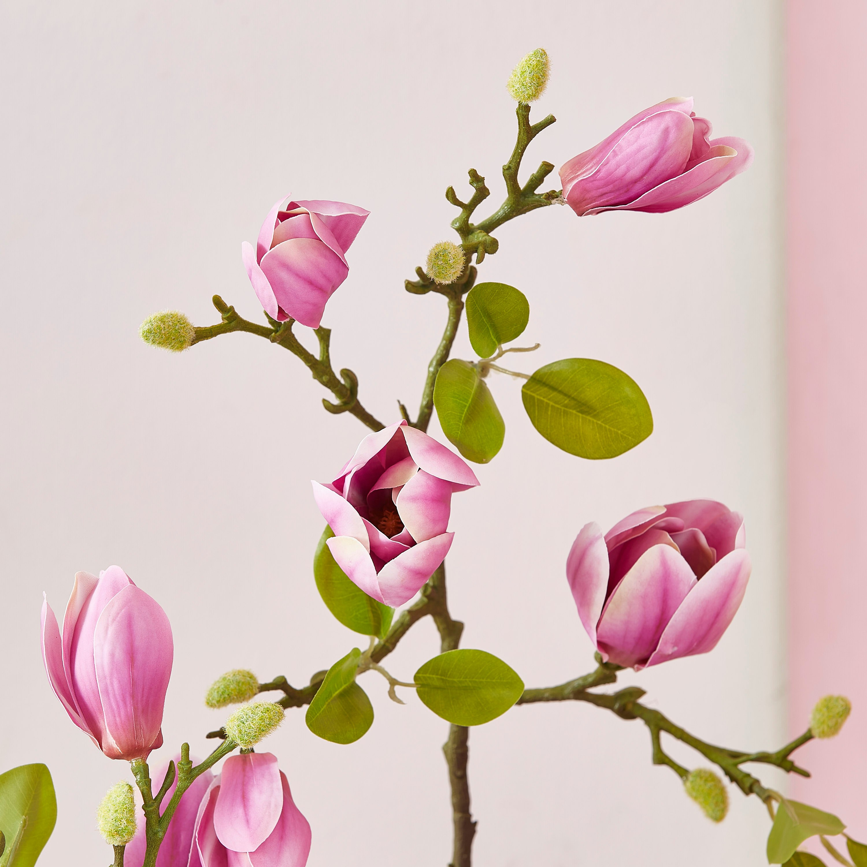 شجرة ماغنوليا اصطناعية من تيودورا - 140 سم-hbxdecorandfurnishings-homeaccessories-artificialflowersandplants-image-2