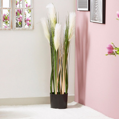 Teodora Artificial Reed - 100 cms