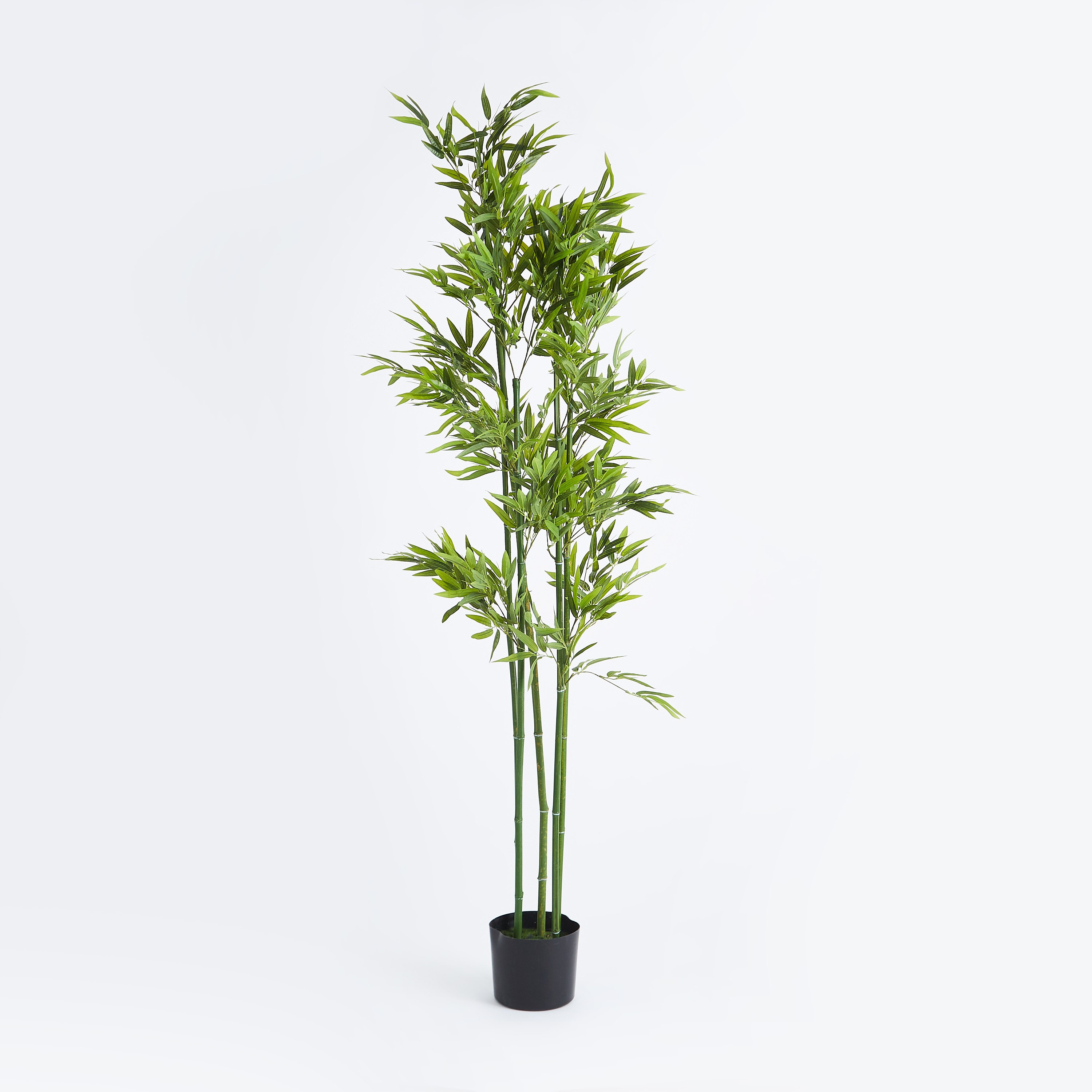 شجرة خيزران اصطناعية من تيودورا - 155 سم-hbxdecorandfurnishings-homeaccessories-artificialflowersandplants-image-5