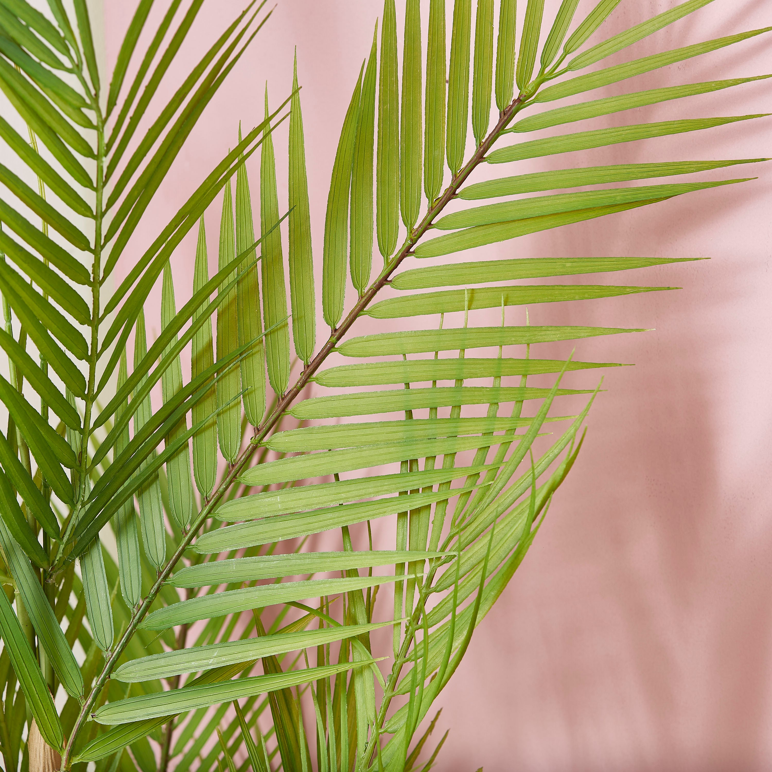 Teodora Artificial Palm Tree - 150 cm-hbxdecorandfurnishings-homeaccessories-artificialflowersandplants-image-2