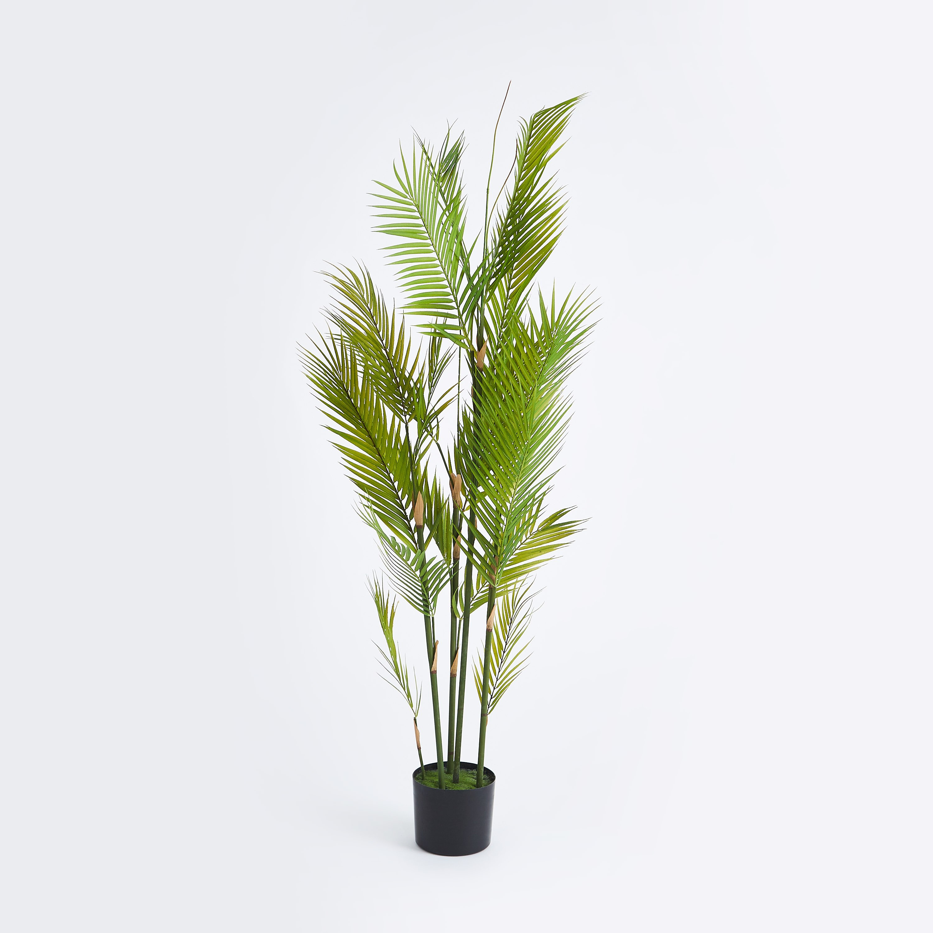 Teodora Artificial Palm Tree - 150 cm-hbxdecorandfurnishings-homeaccessories-artificialflowersandplants-image-5