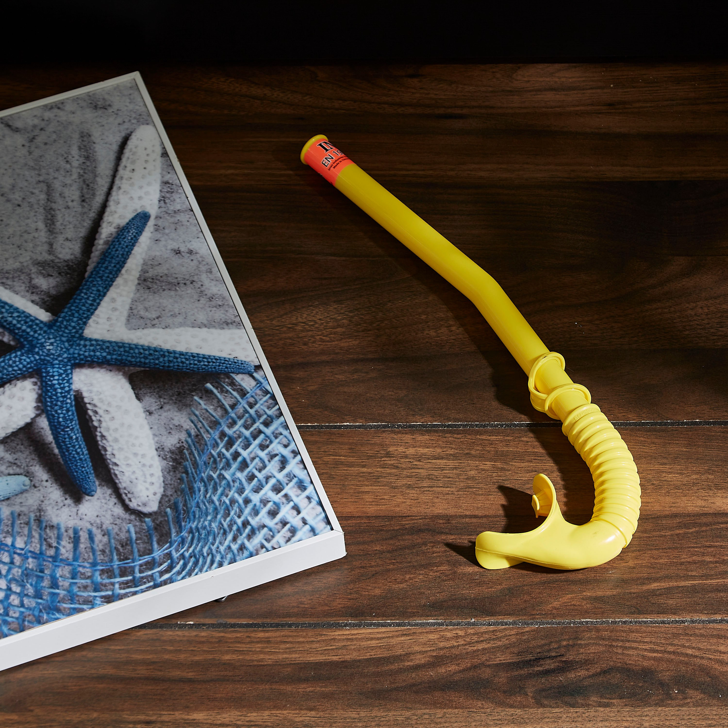 أنبوبة التنفس للغطس من فان-hbxhomeware-hbxkidsandyouth-image-1