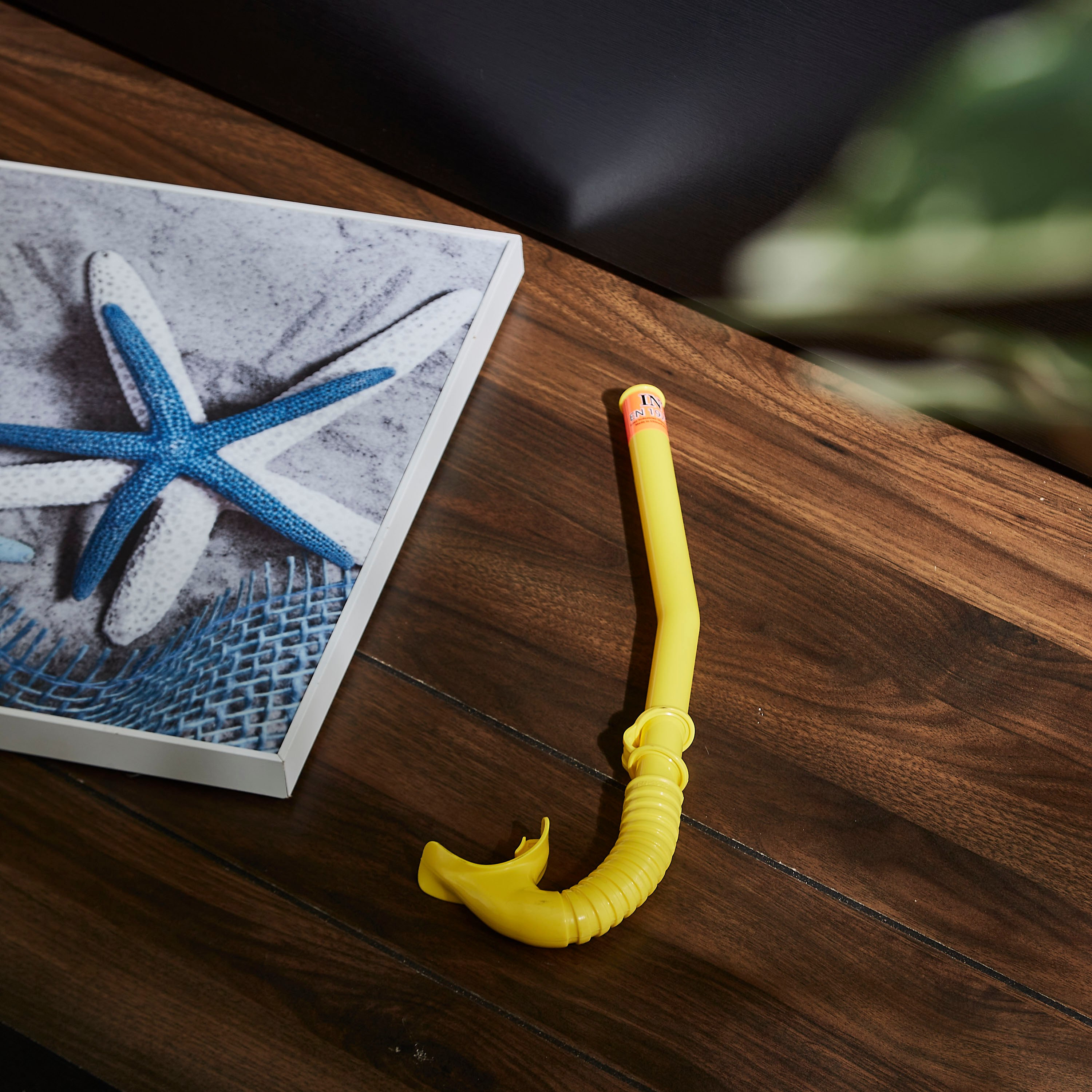أنبوبة التنفس للغطس من فان-hbxhomeware-hbxkidsandyouth-image-4