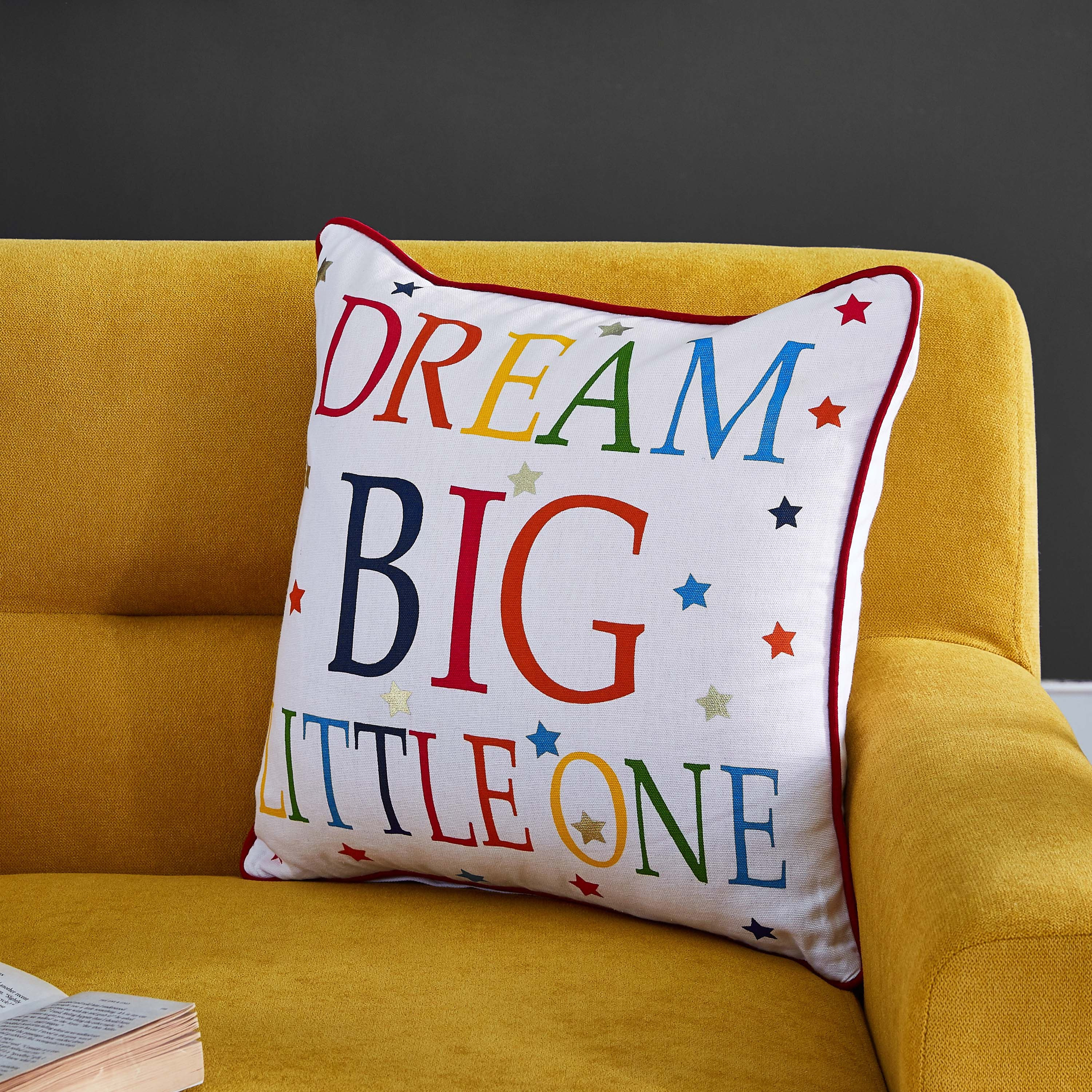 The big best sale one pillow shams