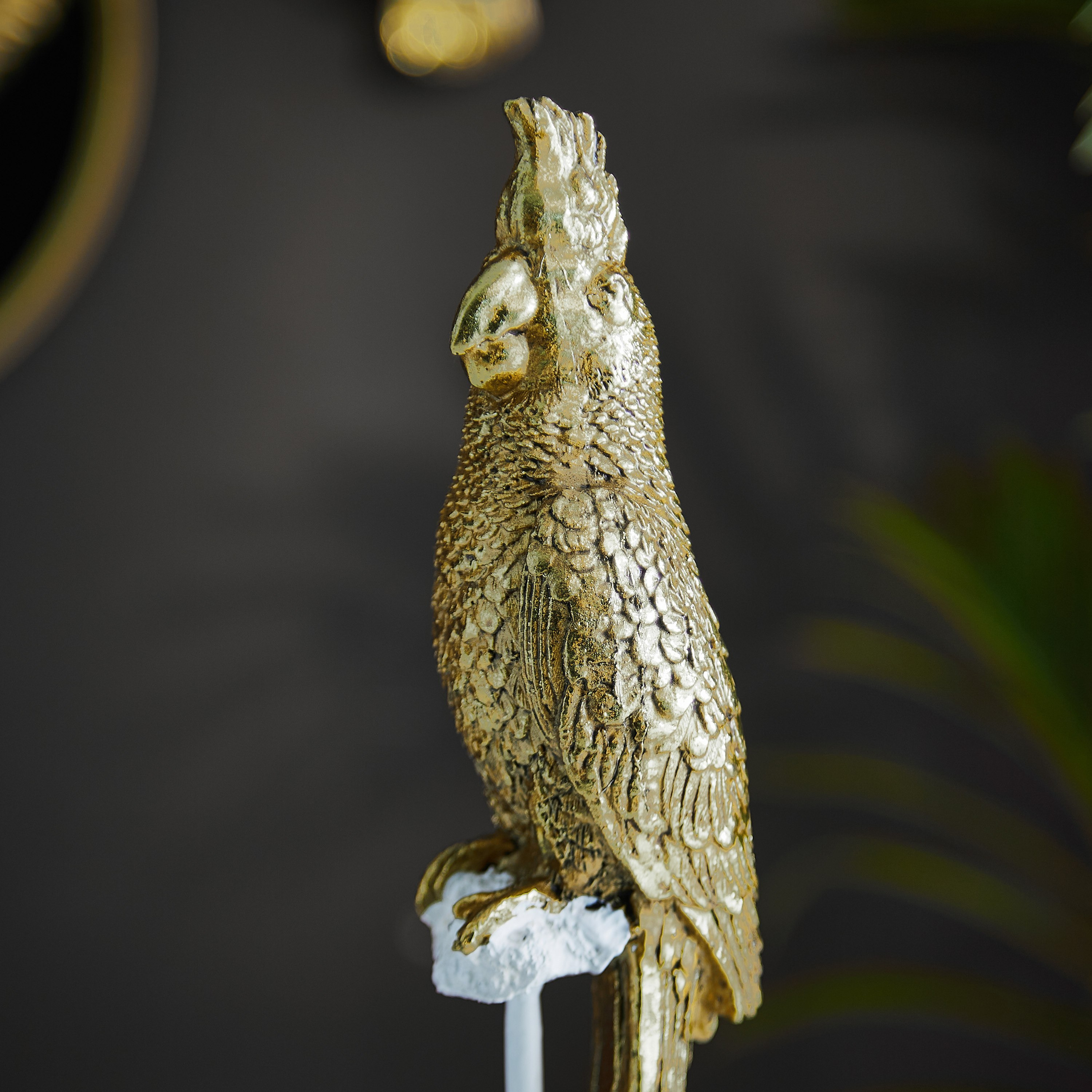 ببغاء بولي ريزين من لاتين-hbxhomeware-homedecor-figurinesandornaments-image-3