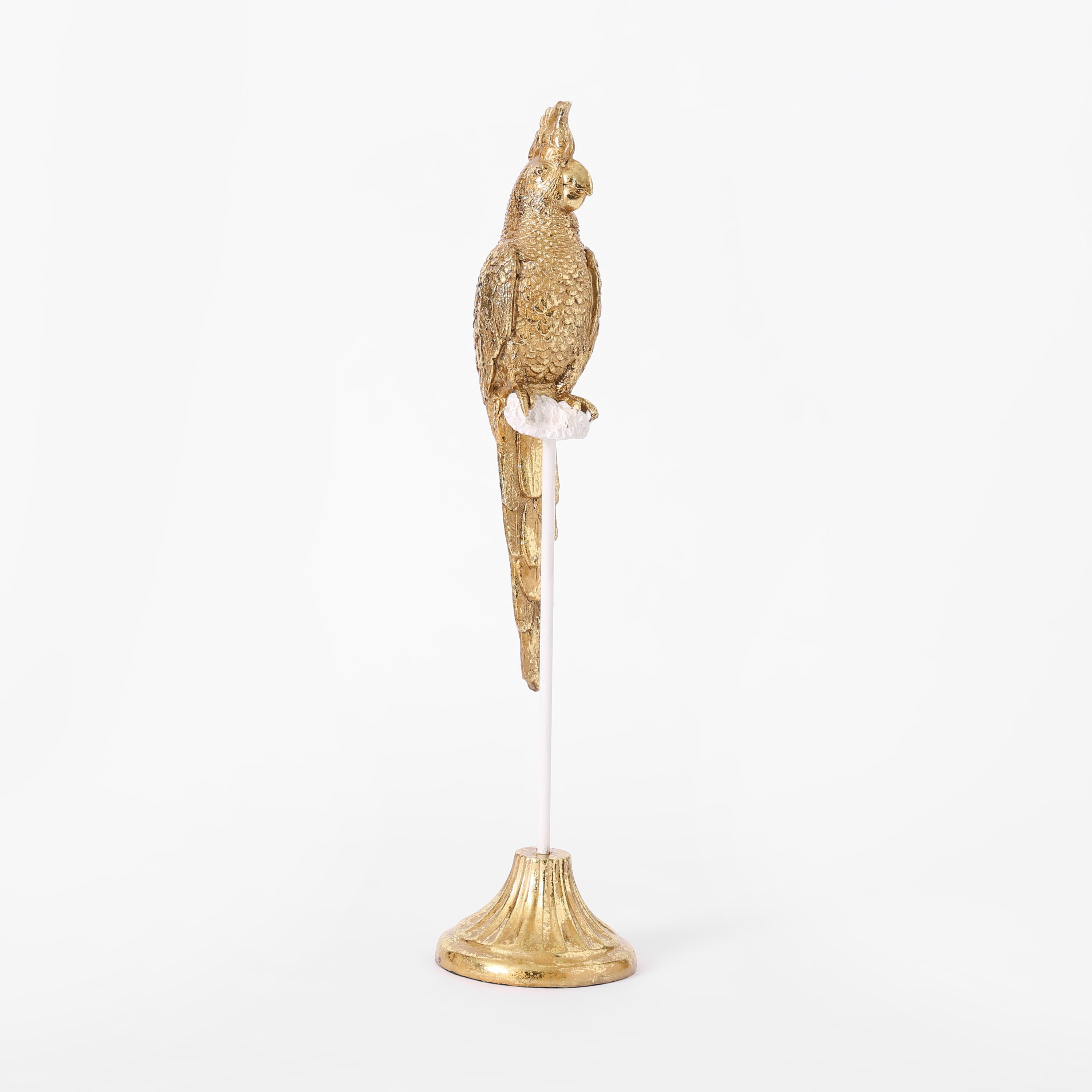 ببغاء بولي ريزين من لاتين-hbxhomeware-homedecor-figurinesandornaments-image-5