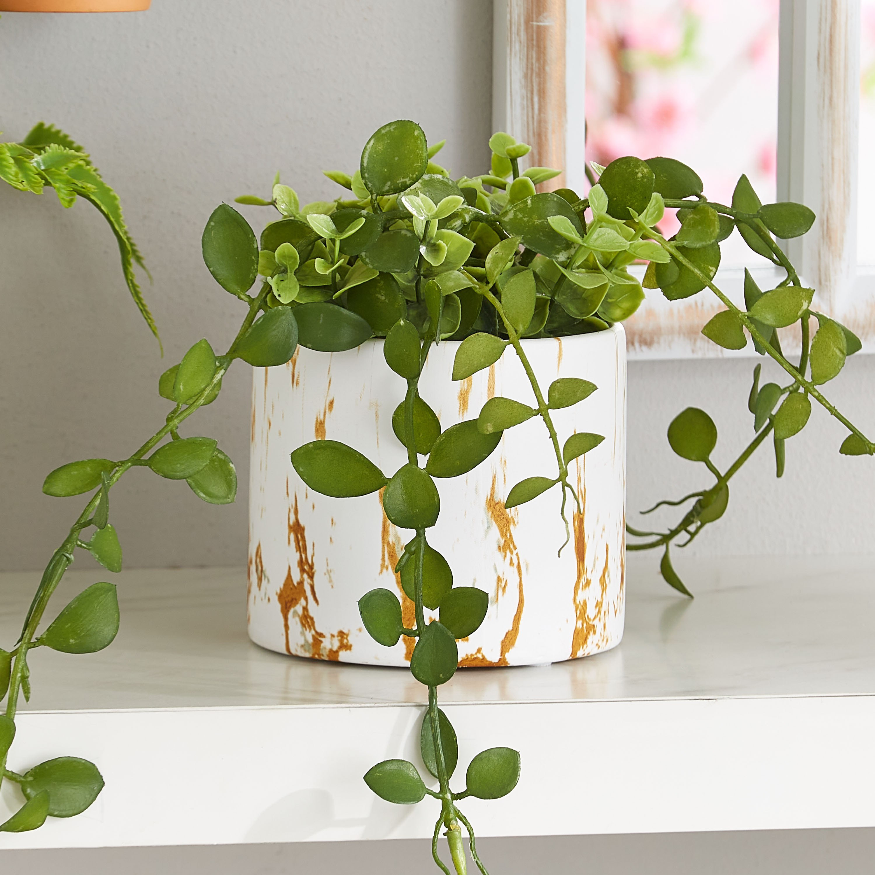 إصيص حديقة دولميت من إليت-hbxdecorandfurnishings-homeaccessories-artificialflowersandplants-image-1