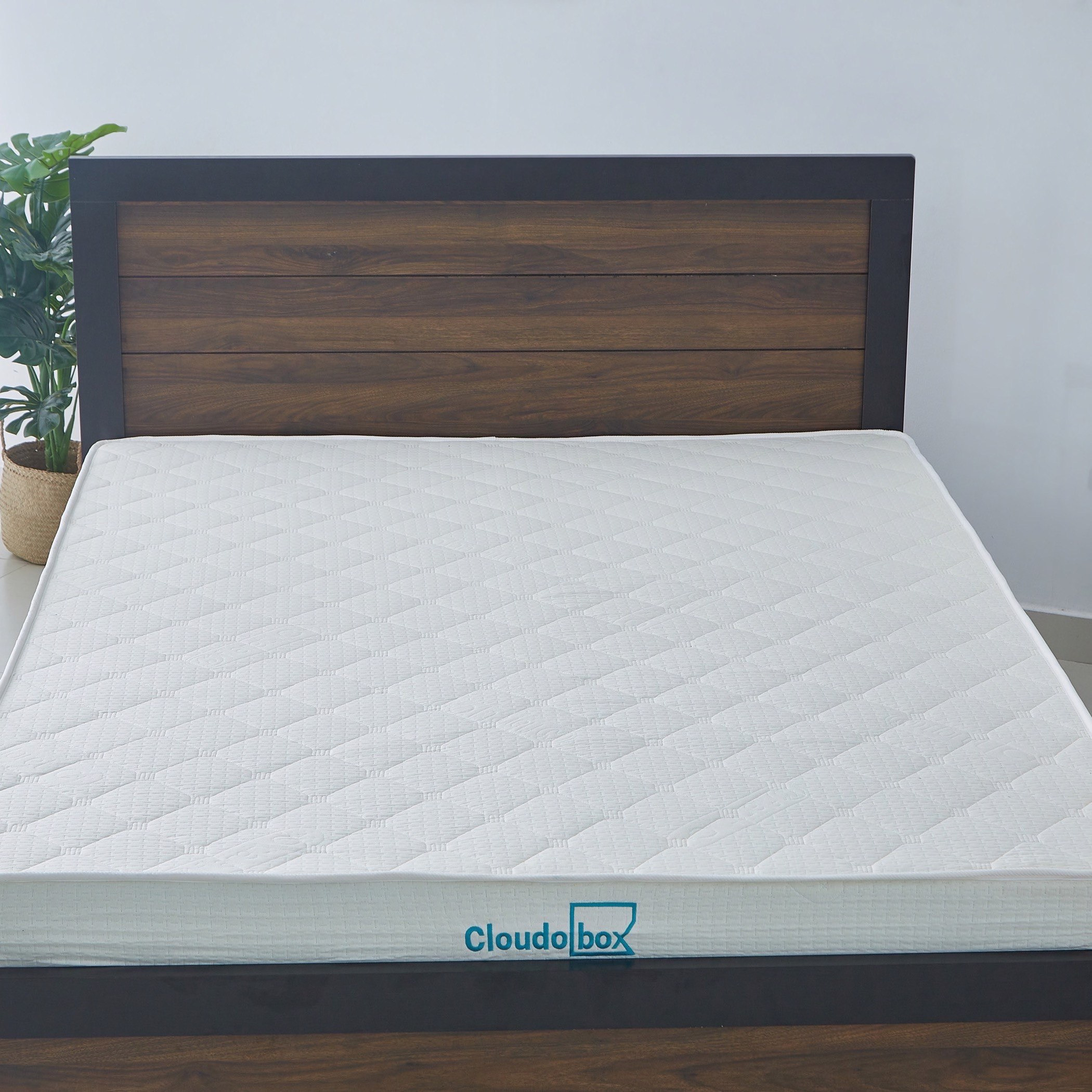 مرتبة كوين إسفنج رول باك من آي كلاود بوكس - 150x200x15 سم-hbxbedroom-mattresses-queen-image-3
