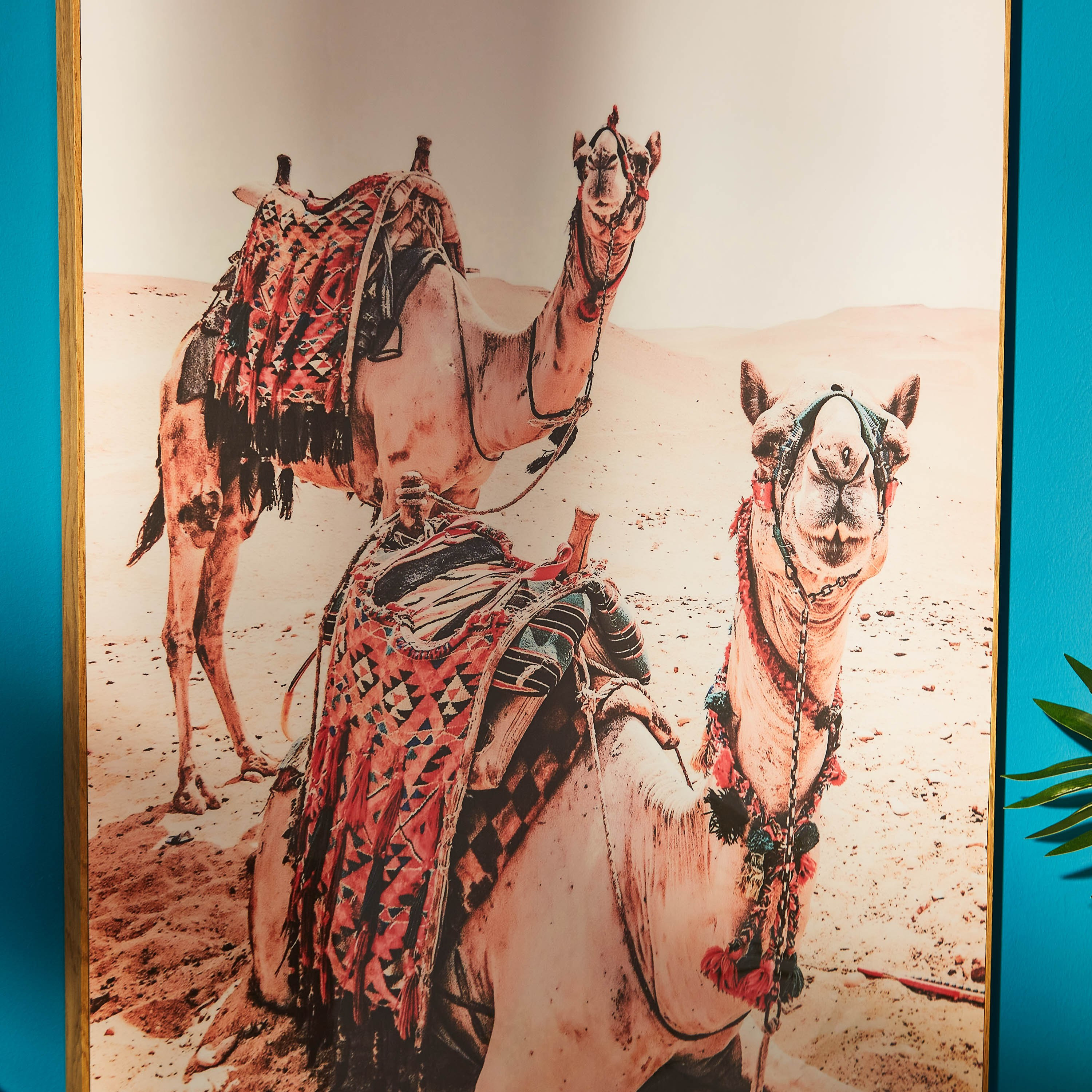 لوحة مؤطرة لامعة لجملين من الألواح الليفية متوسطة الكثافة من رابيا-PROMO_HB_AE_B1G1_250925-image-3