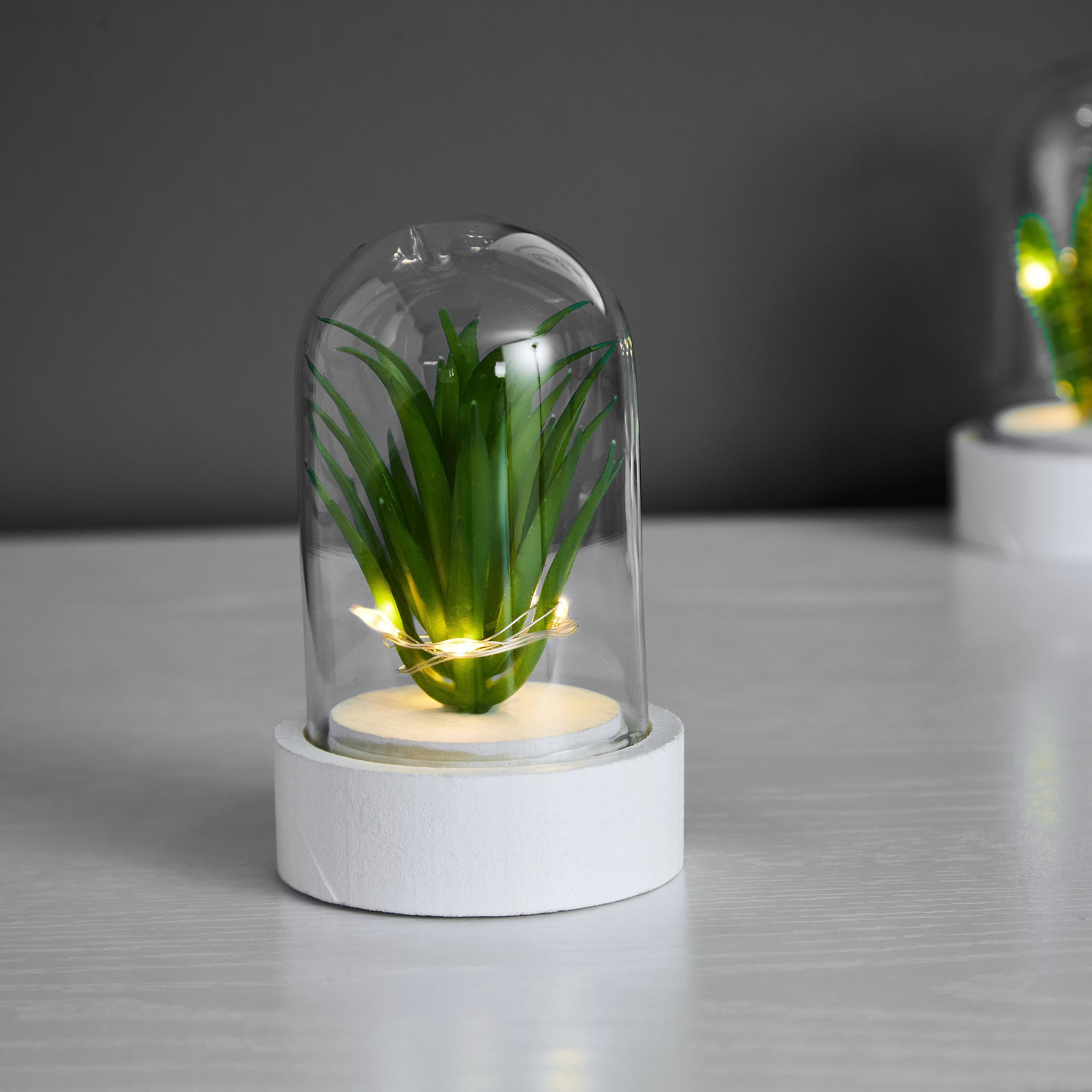 قارورة زجاجية بـ 5 مصابيح إل إي دي ونبات اصطناعي من أورلا - 9 سم-hbxdiningroom-lighting-decorativesandstringlights-image-2