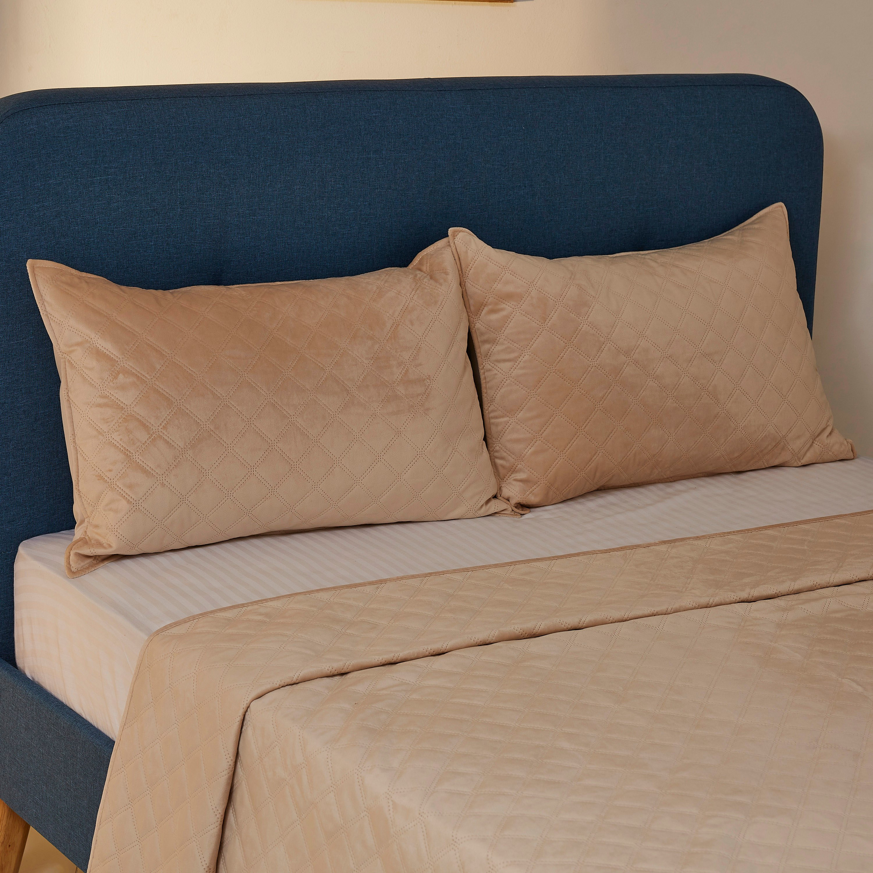 طقم مفرش سرير كينج مبطّن مخملي 3 قطع من دوف - 230x250 سم-hbxdecorandfurnishings-bedding-bedspreadsandquilts-image-2