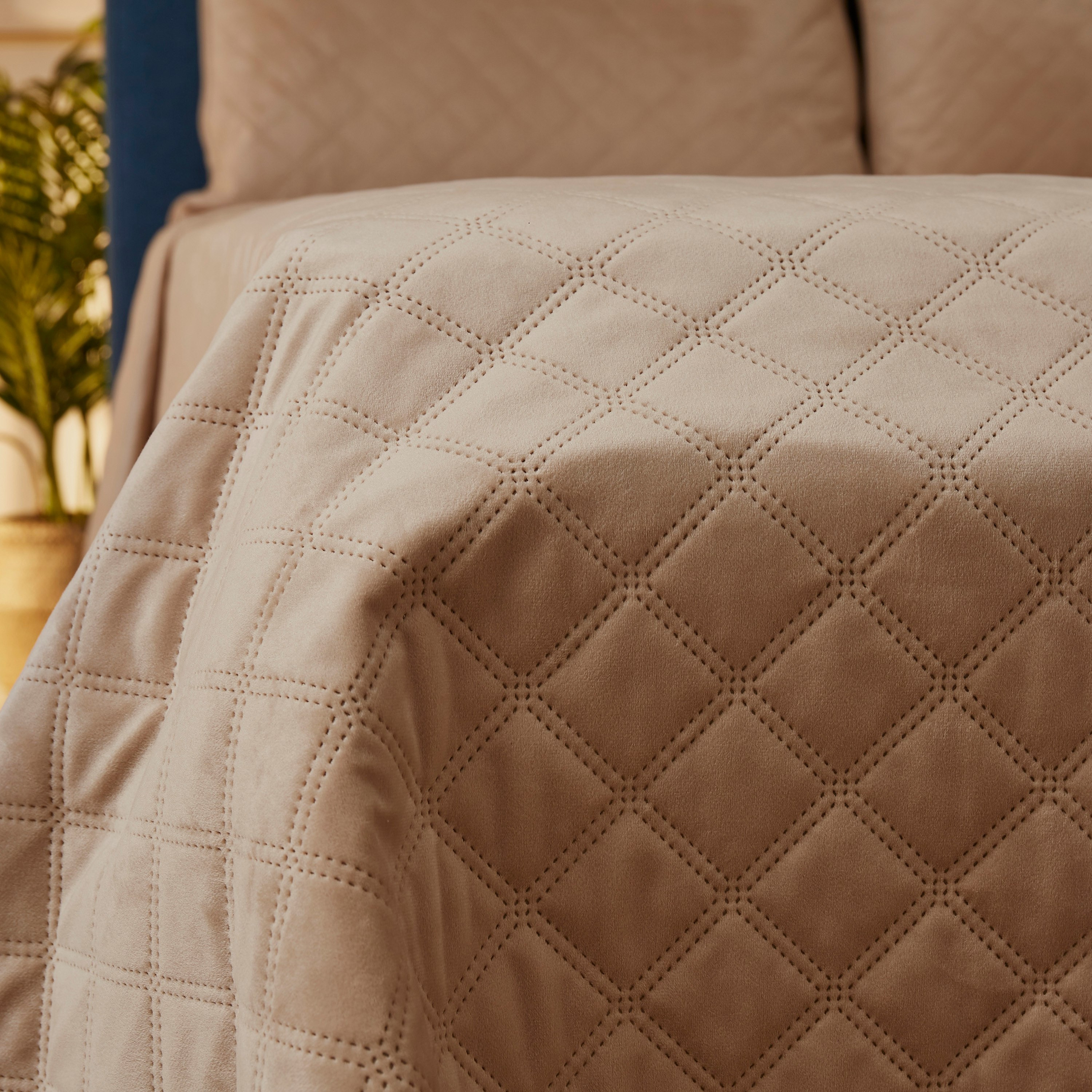 طقم مفرش سرير كينج مبطّن مخملي 3 قطع من دوف - 230x250 سم-hbxdecorandfurnishings-bedding-bedspreadsandquilts-image-4