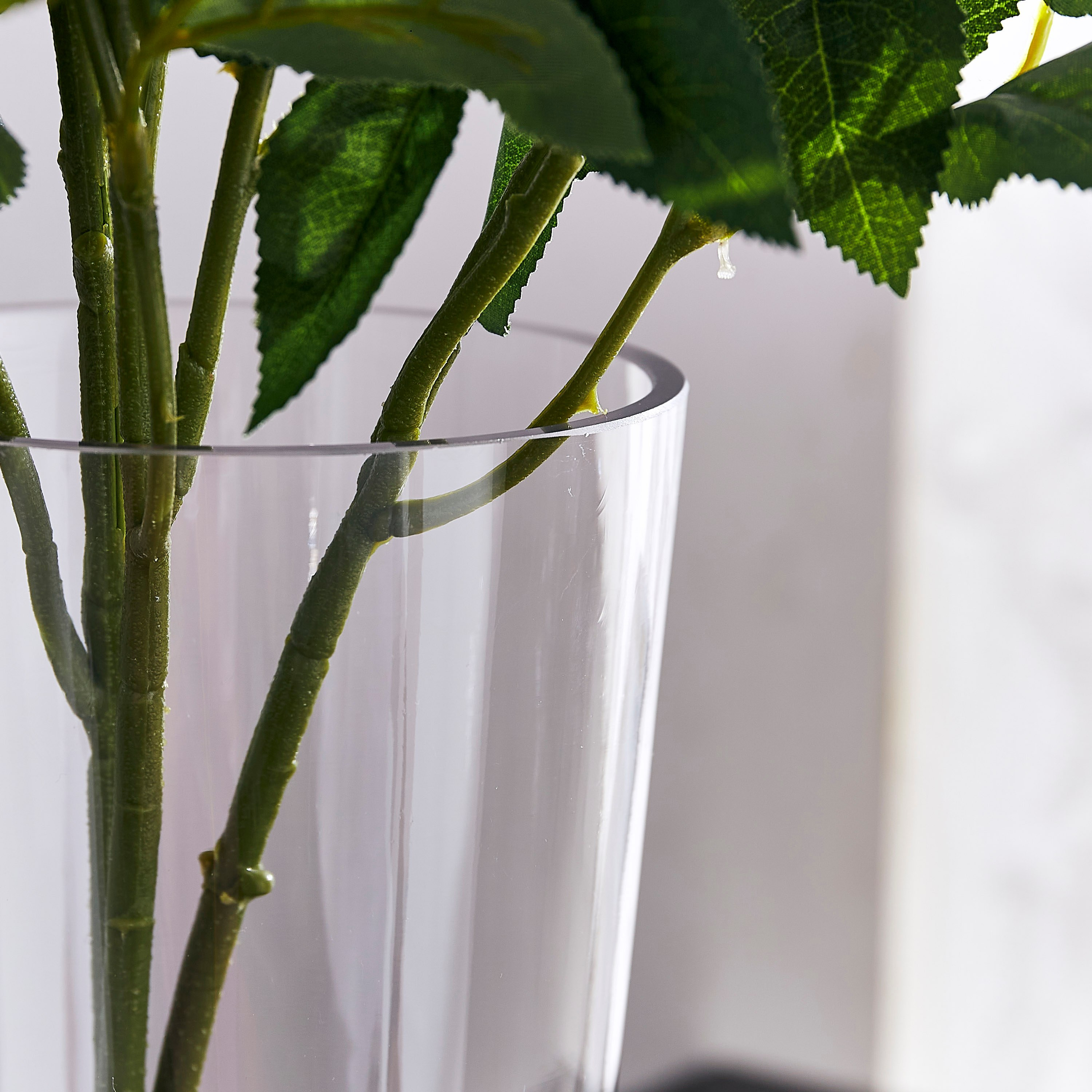 مزهرية زجاج بتصميم مخروطيّ من أتلانتا - 12x8x25 سم-hbxbedroom-decorandaccessories-vases-image-3