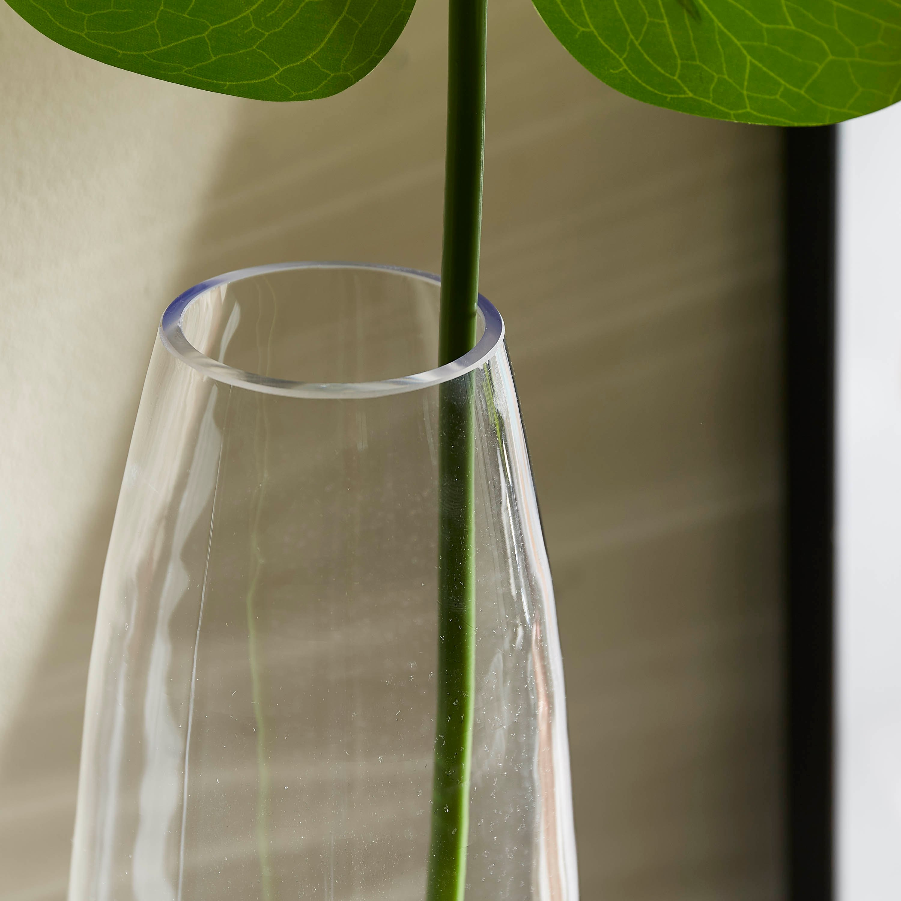 مزهرية زجاج بيضاوية شفافة من أتلانتا - 13x50 سم-hbxbedroom-decorandaccessories-vases-image-3
