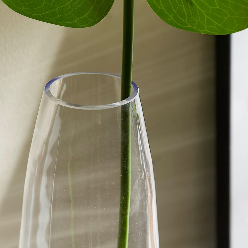 Atlanta Clear Soho Glass Oval Vase - 13x50 cm-Vases-image-2