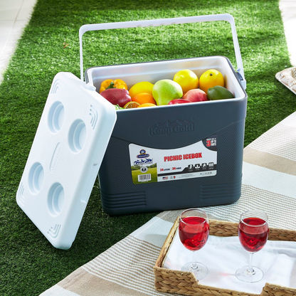 Keepcold Picnic Icebox - 23 L-Containers & Jars-image-3