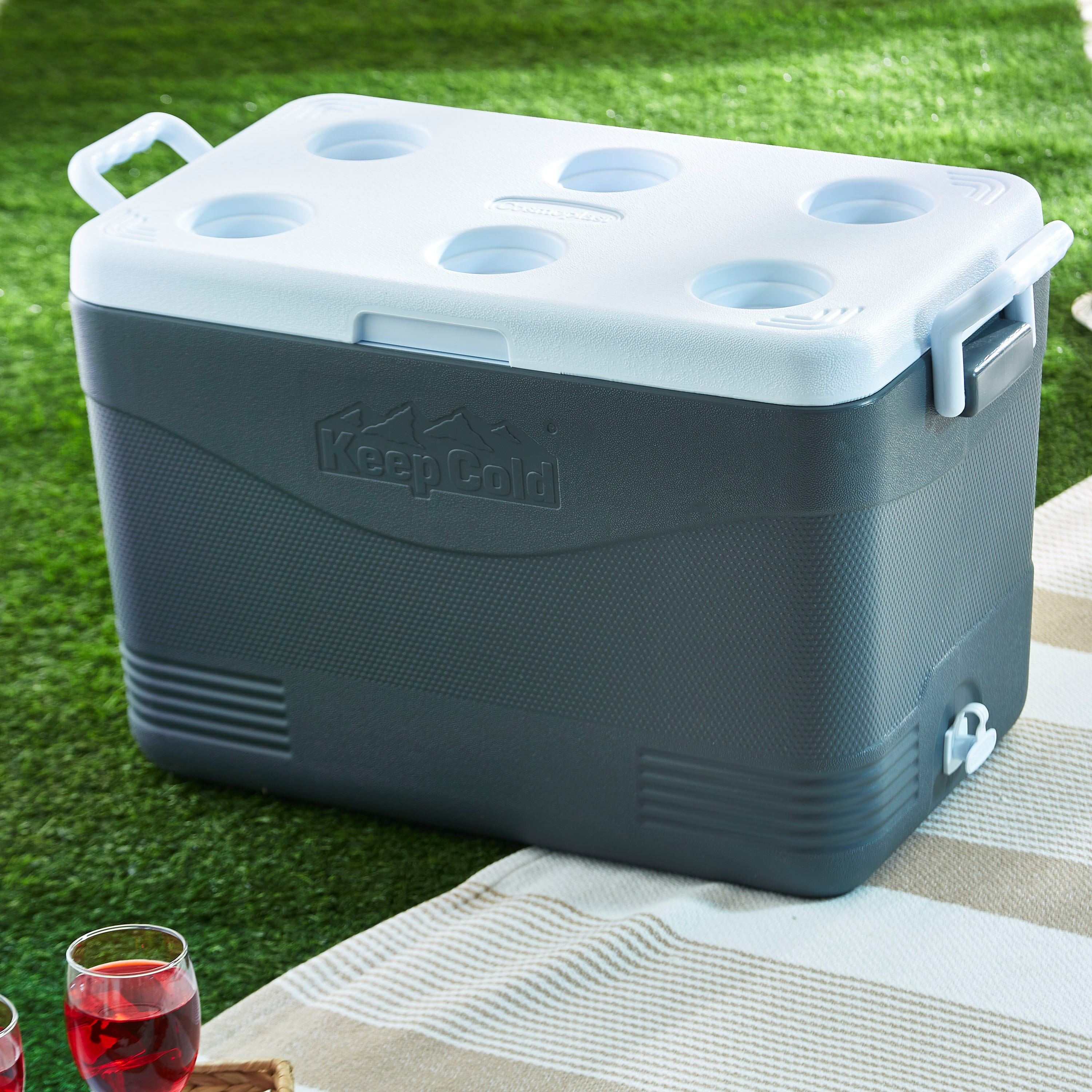 Keepcold Picnic Icebox - 46 L-hbxhomeware-hbxkitchen-image-1