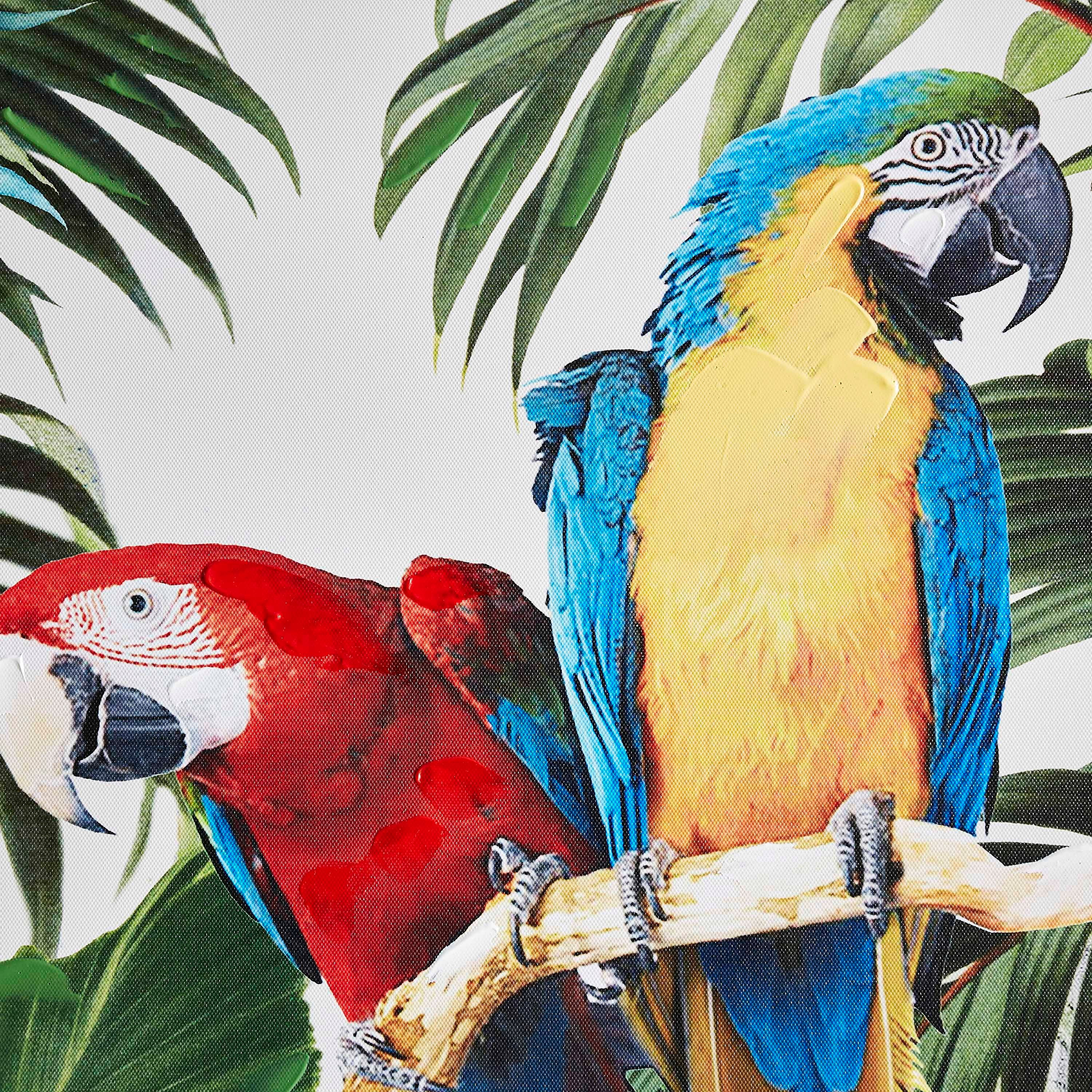برواز صورة ببغاوات كانفاس بارزة الملمس من إلمر-PROMO_HB_AE_B1G1_250925-image-3