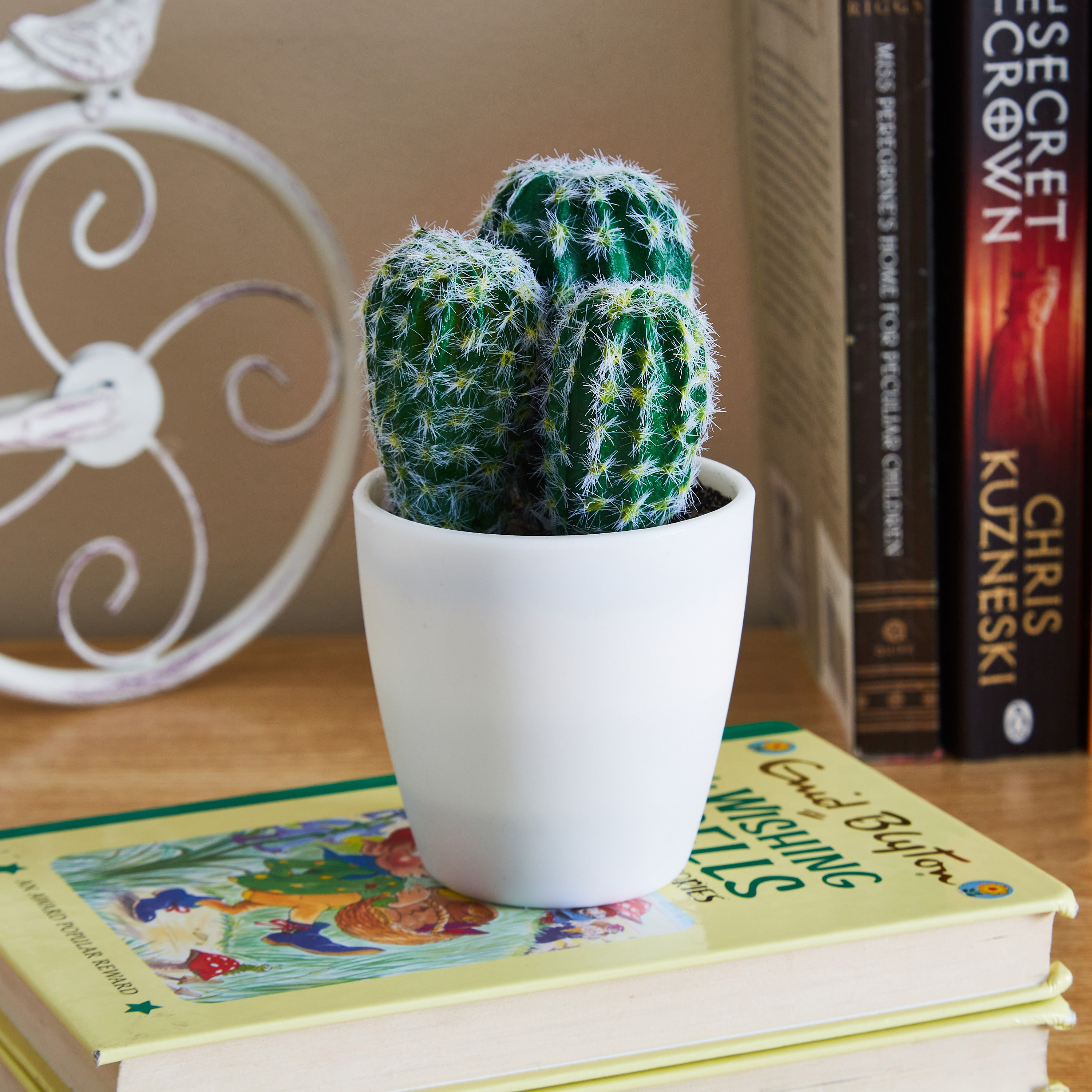 نبتة صبار صغيرة في وعاء من إيدينك - 14 سم-hbxdecorandfurnishings-homeaccessories-artificialflowersandplants-image-1