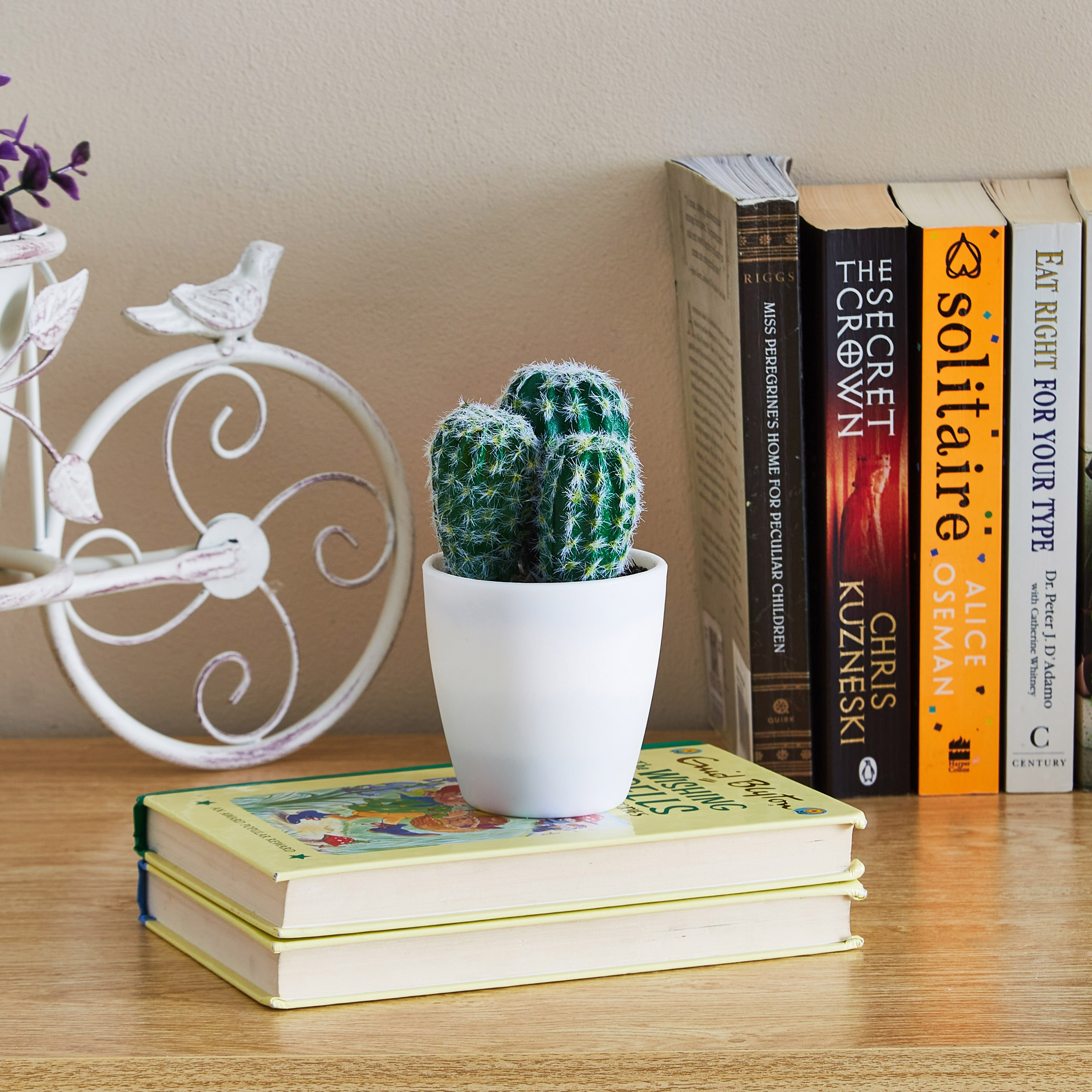 نبتة صبار صغيرة في وعاء من إيدينك - 14 سم-hbxdecorandfurnishings-homeaccessories-artificialflowersandplants-image-3