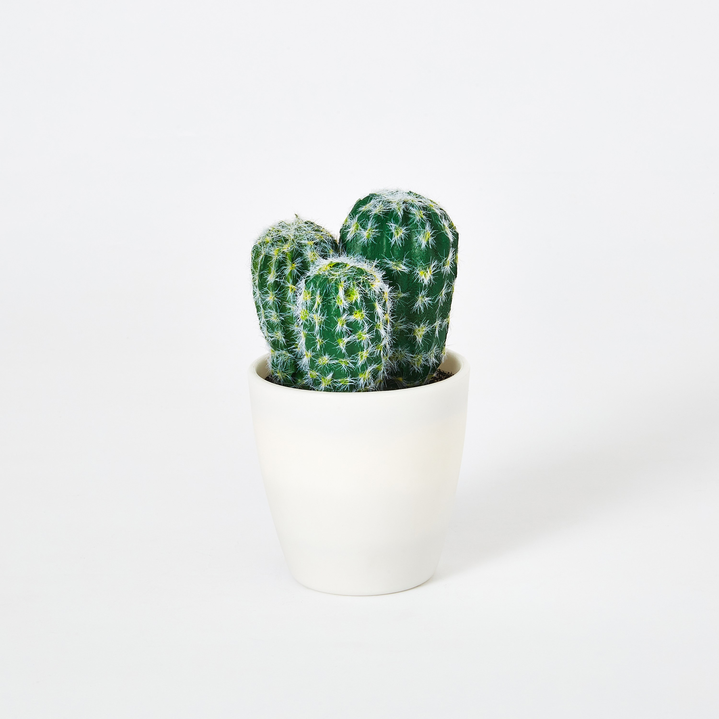 نبتة صبار صغيرة في وعاء من إيدينك - 14 سم-hbxdecorandfurnishings-homeaccessories-artificialflowersandplants-image-4