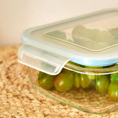 Imperial Rectangular Borosilicate Glass Storage Container - 1 L-Containers and Jars-image-3
