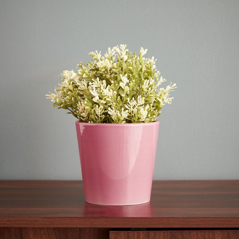 Ciara Ceramic Planter - 12.8x12.8x12 cm-Pots and Planters-image-1