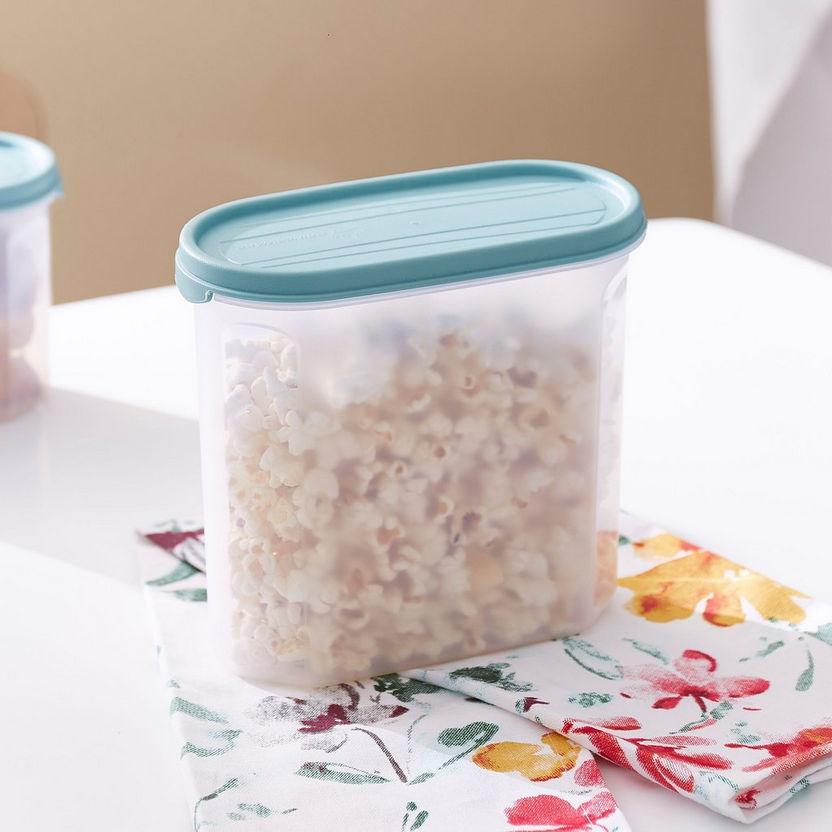 Easy Store Oval Container - 1.8 L-Containers & Jars-image-0