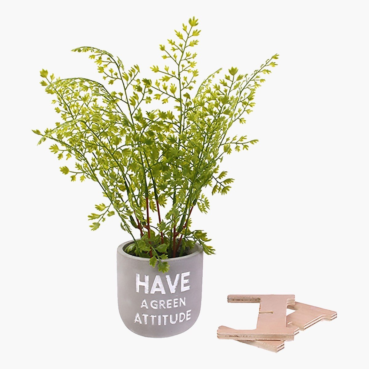 نبات صناعي في إصيص أسمنتي - 37 سم-hbxdecorandfurnishings-homeaccessories-artificialflowersandplants-image-2