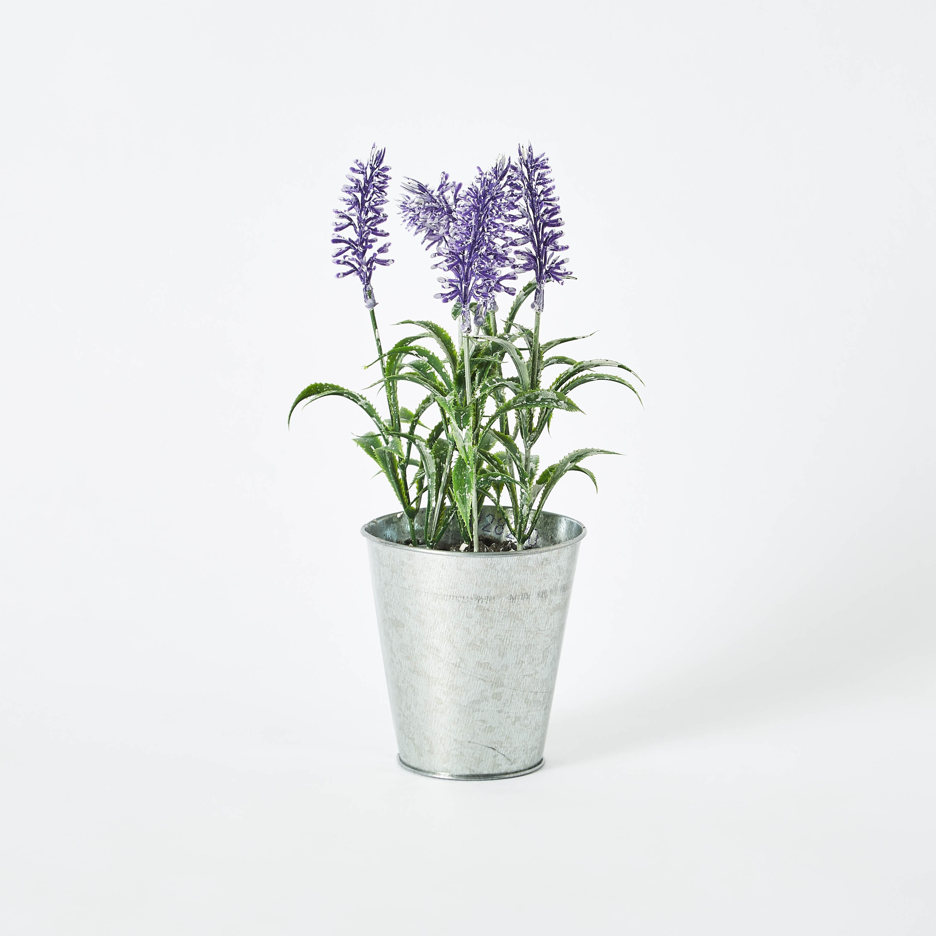 لافندر في وعاء قصدير من ليفيا-hbxhomeware-hbxdecorandfurnishings-image-4