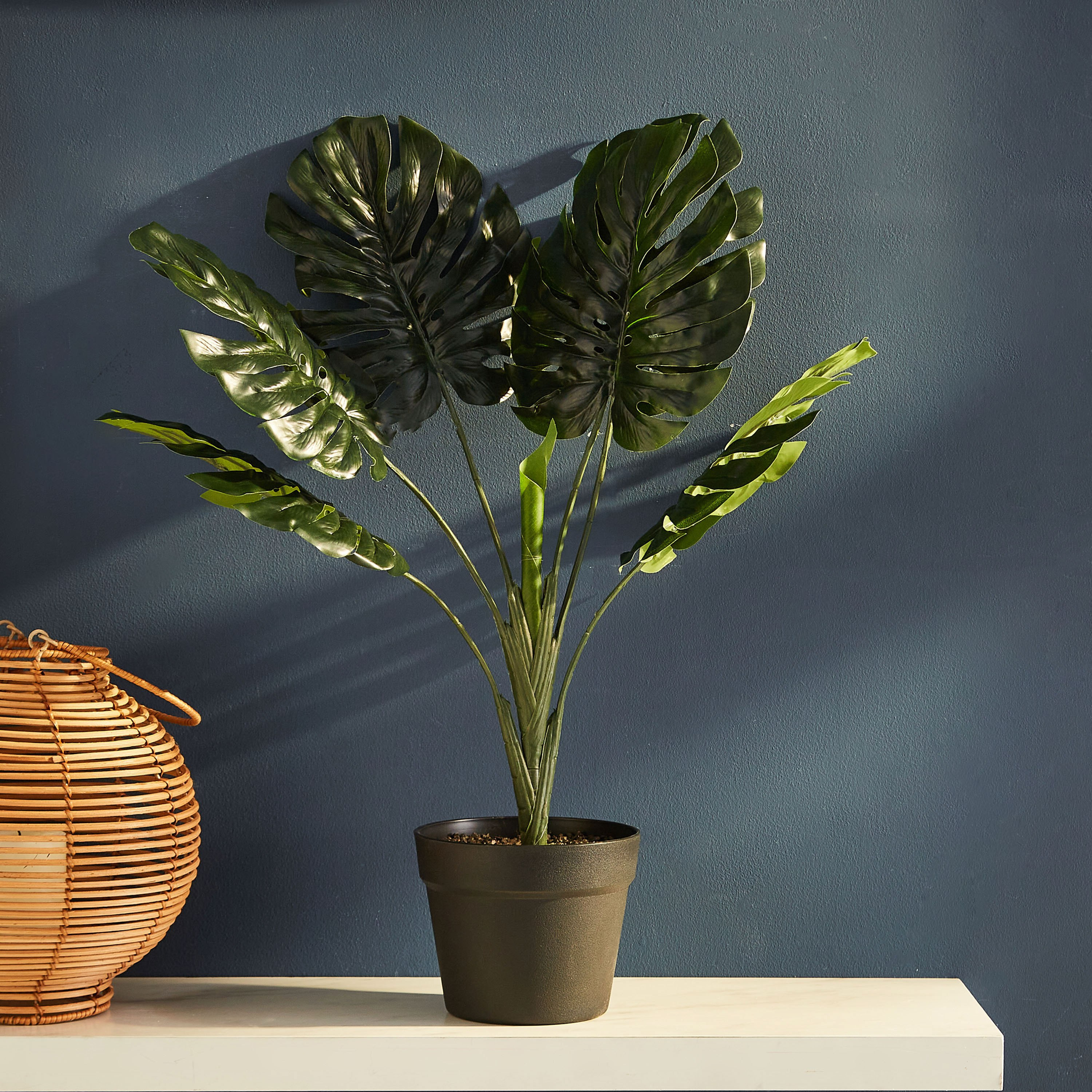 نبات مونستيرا من ليفيا-hbxdecorandfurnishings-homeaccessories-artificialflowersandplants-image-1