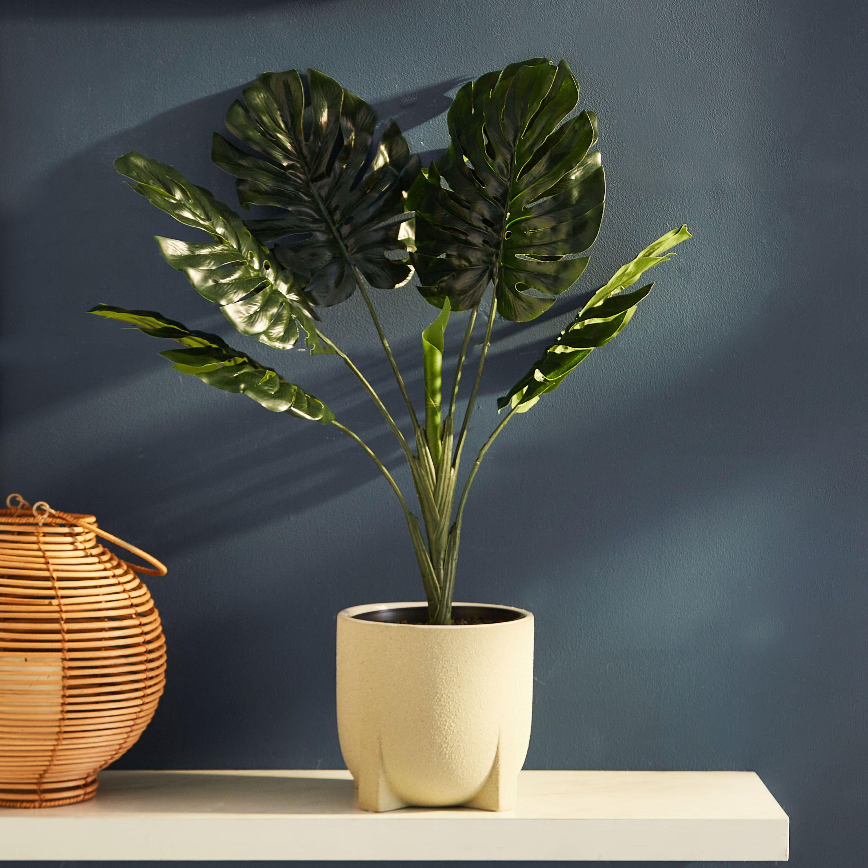 نبات مونستيرا من ليفيا-hbxdecorandfurnishings-homeaccessories-artificialflowersandplants-image-2
