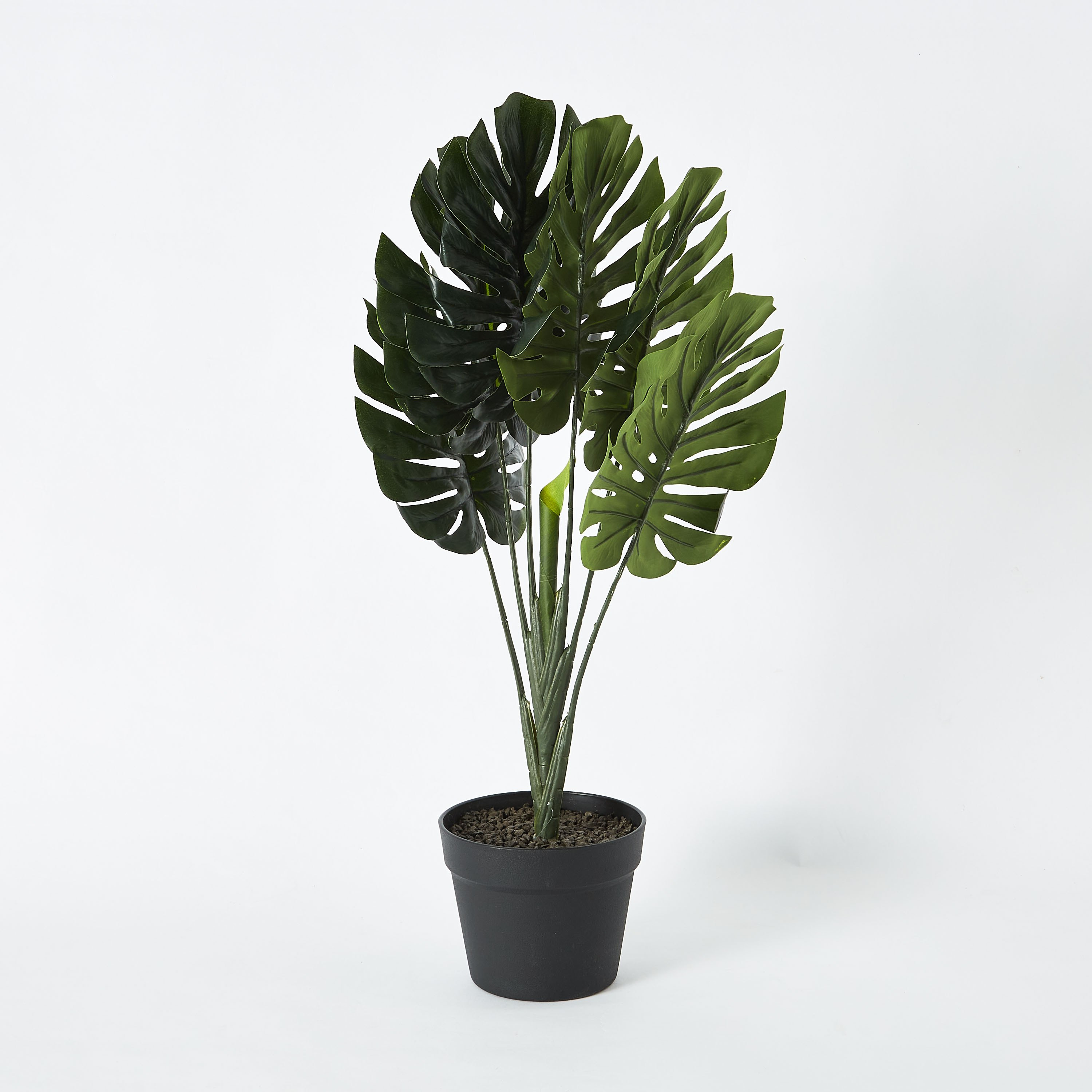 نبات مونستيرا من ليفيا-hbxdecorandfurnishings-homeaccessories-artificialflowersandplants-image-5